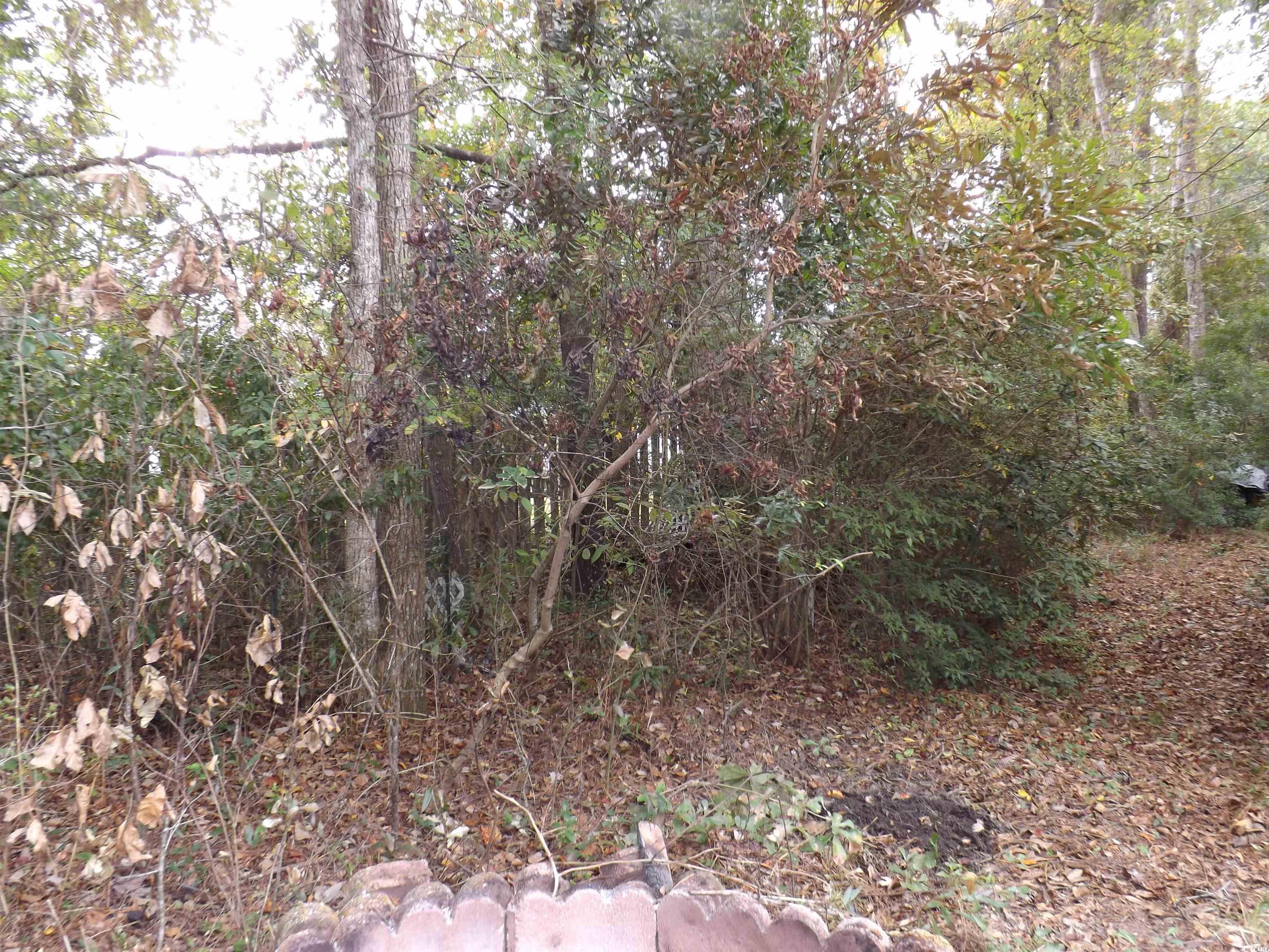 330 Nature Trail, Little River, South Carolina image 21