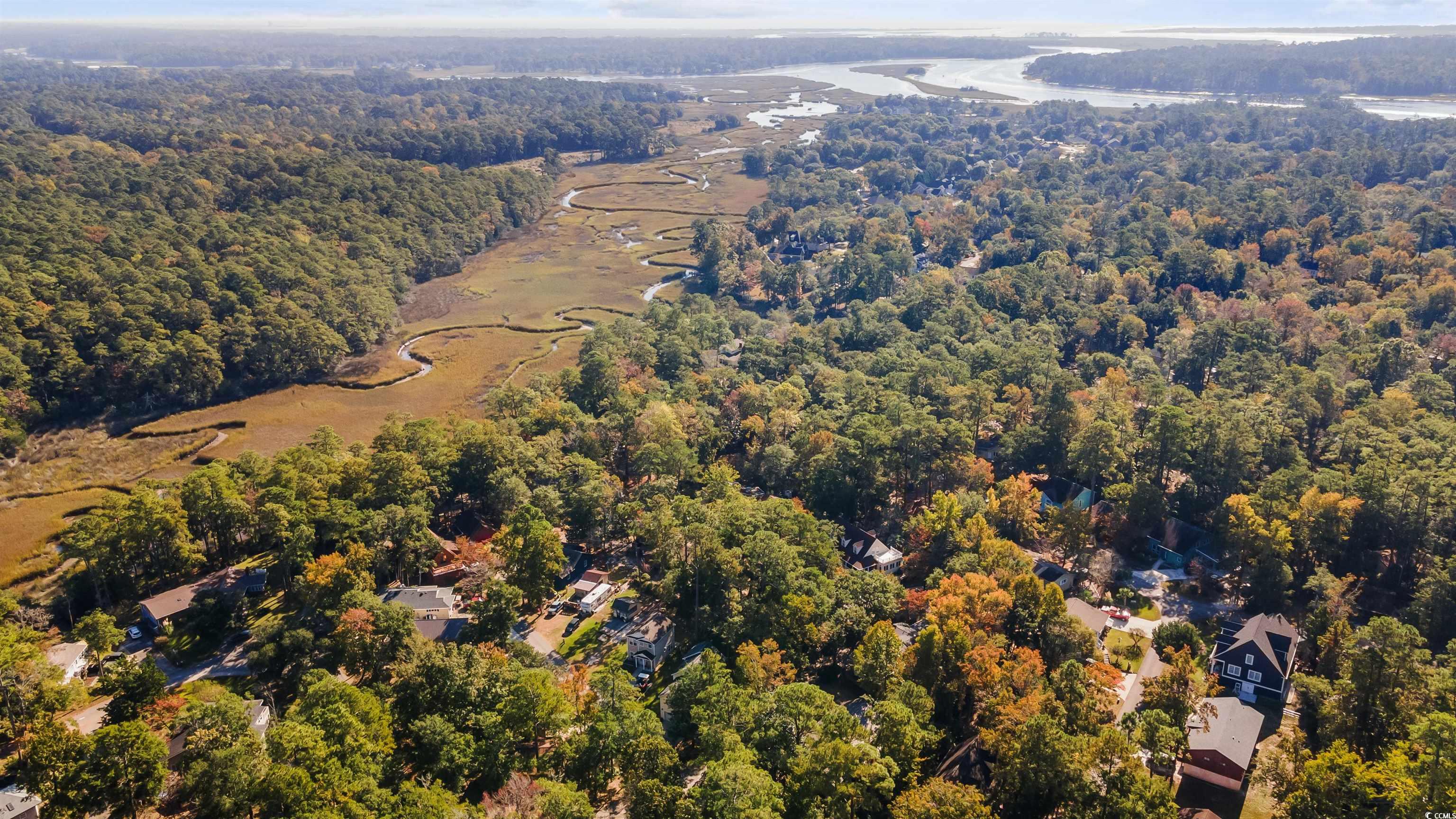 2196 Gamecock Circle, Little River, South Carolina image 35