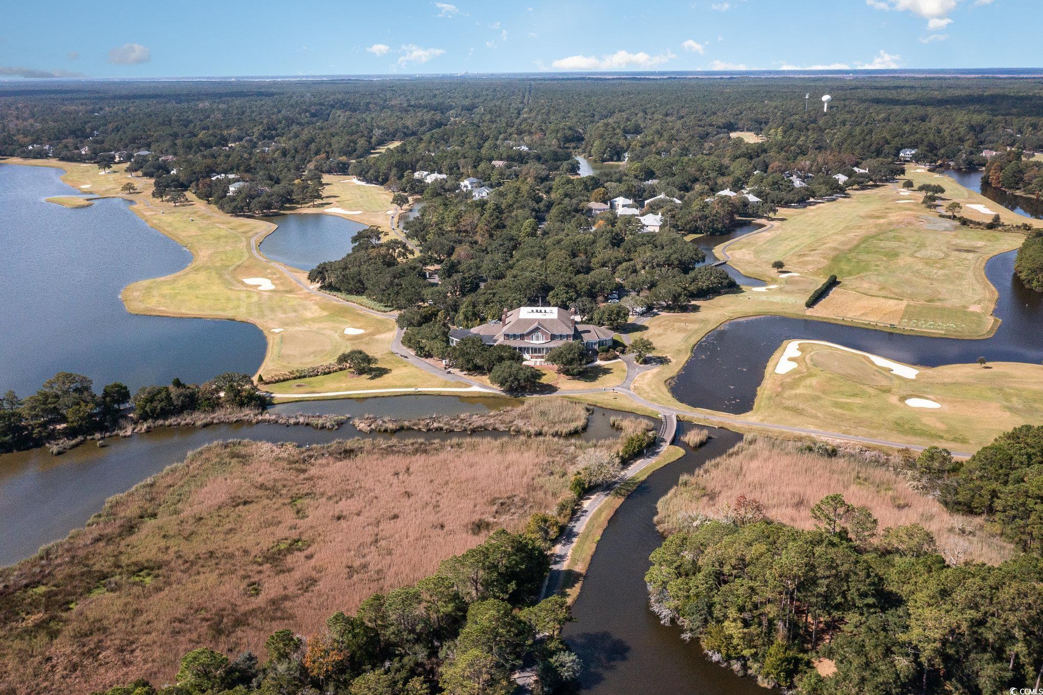 487 Lantana Circle, Georgetown, South Carolina image 34