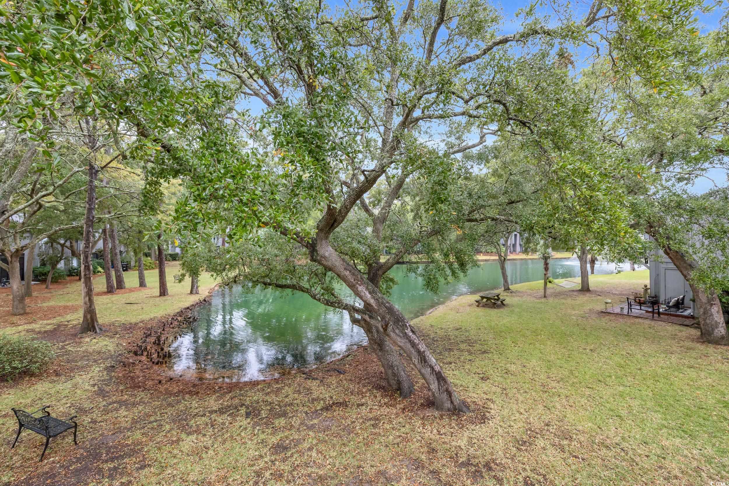 219 Salt Marsh Circle #14B, Pawleys Island, South Carolina image 26