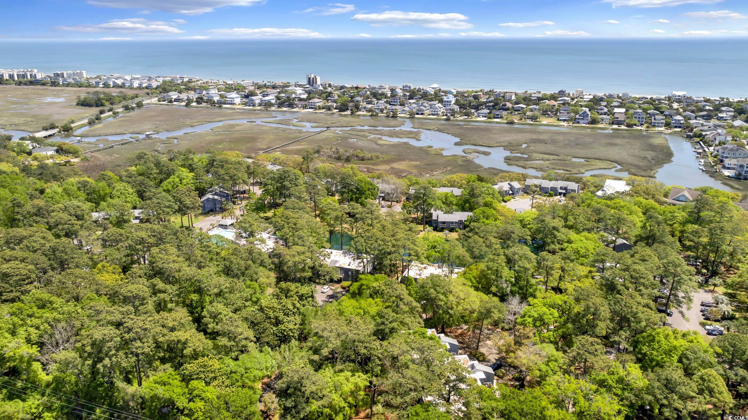 219 Salt Marsh Circle #14B, Pawleys Island, South Carolina image 34