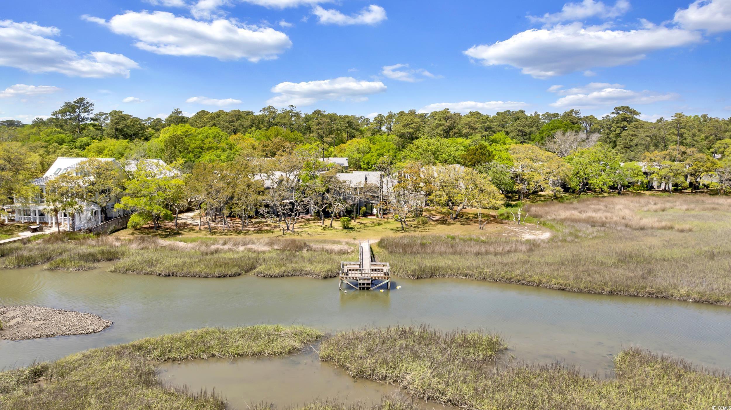 219 Salt Marsh Circle #14B, Pawleys Island, South Carolina image 38