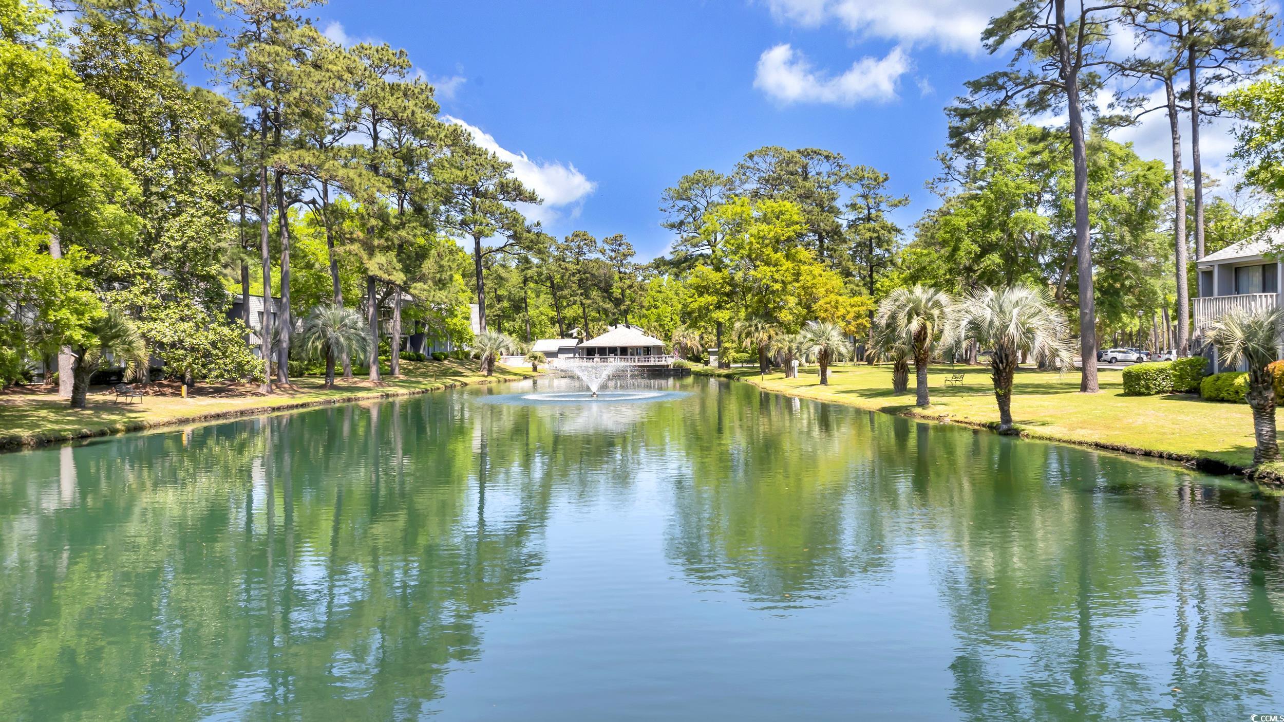 219 Salt Marsh Circle #14B, Pawleys Island, South Carolina image 40