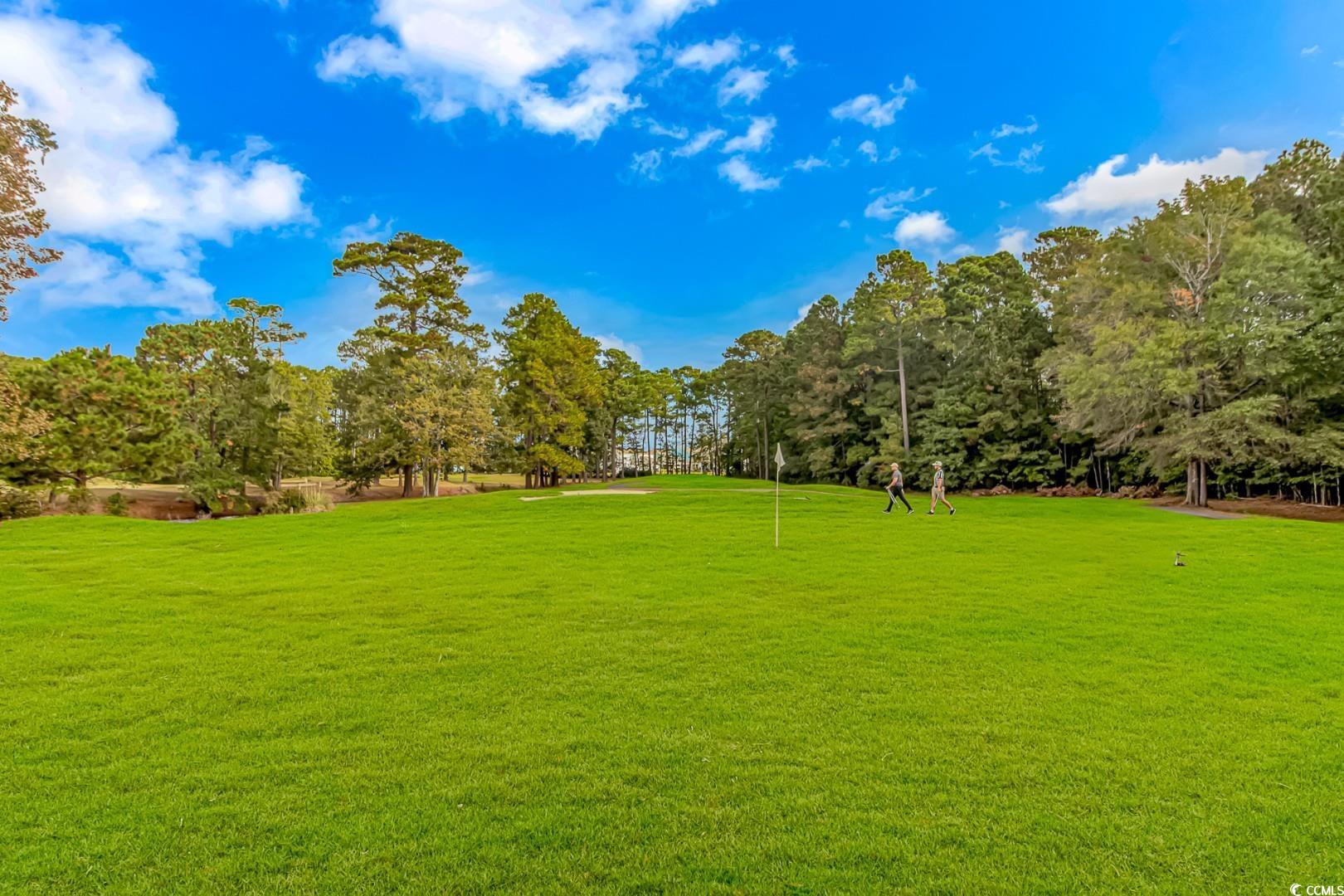 1469 Winged Foot Ct., Murrells Inlet, South Carolina image 36