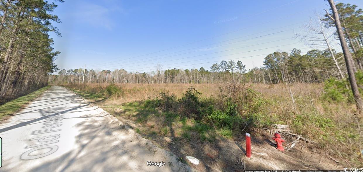 TBD X Old Forest Dr. Loris, SC 29569