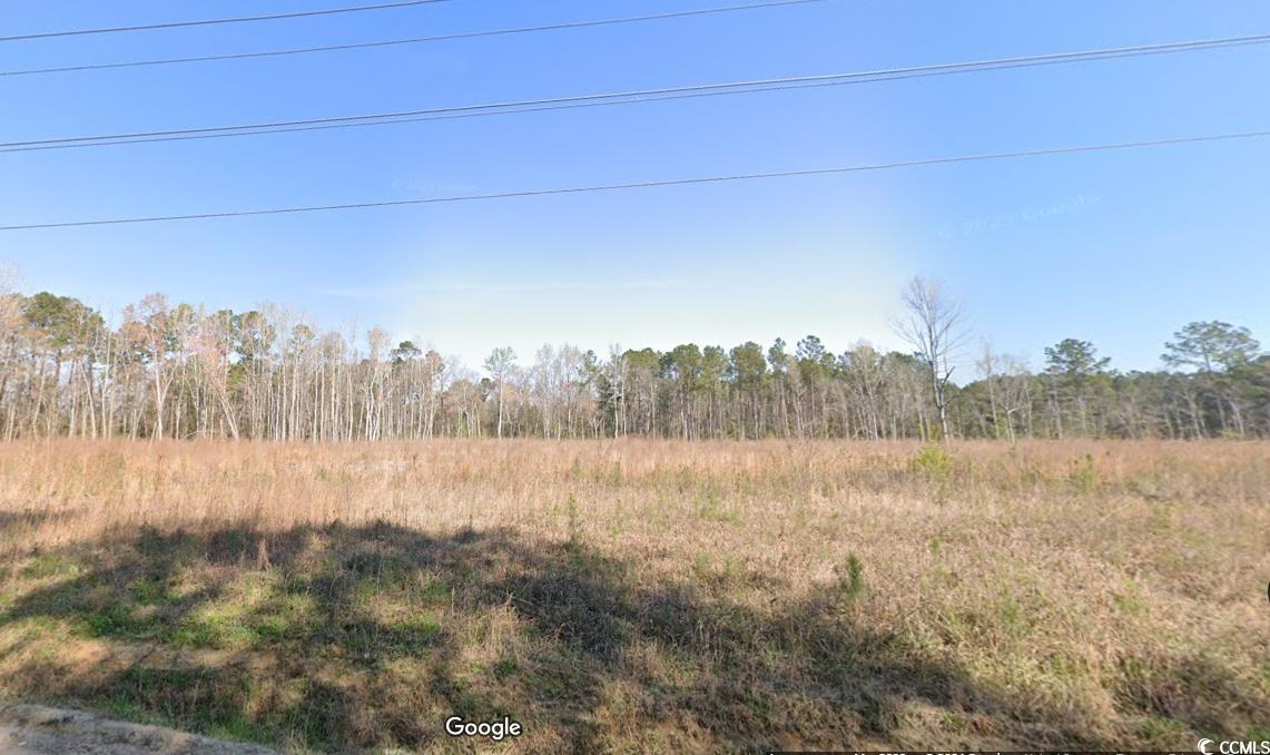 TBD X Old Forest Dr., Loris, South Carolina image 7