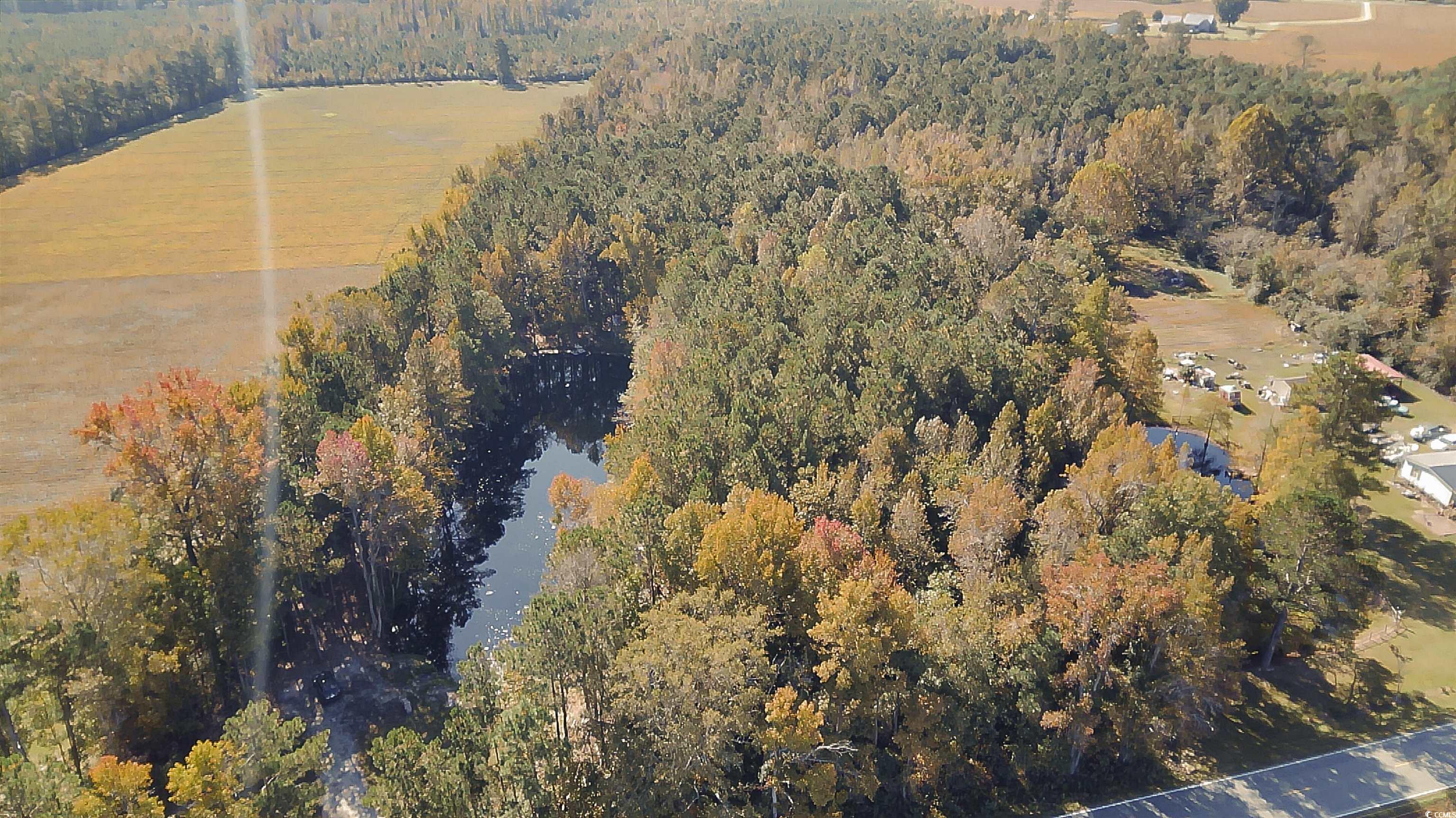 1389 Rough and Ready Rd. Whiteville, NC 28472