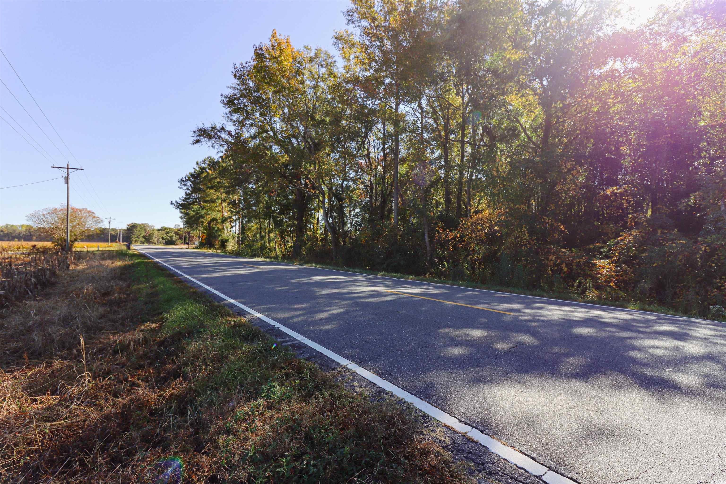 1389 Rough And Ready Rd., Whiteville, North Carolina image 3