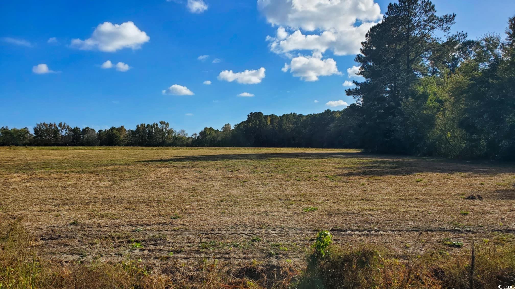 TBD Highway 366 Conway, SC 29526