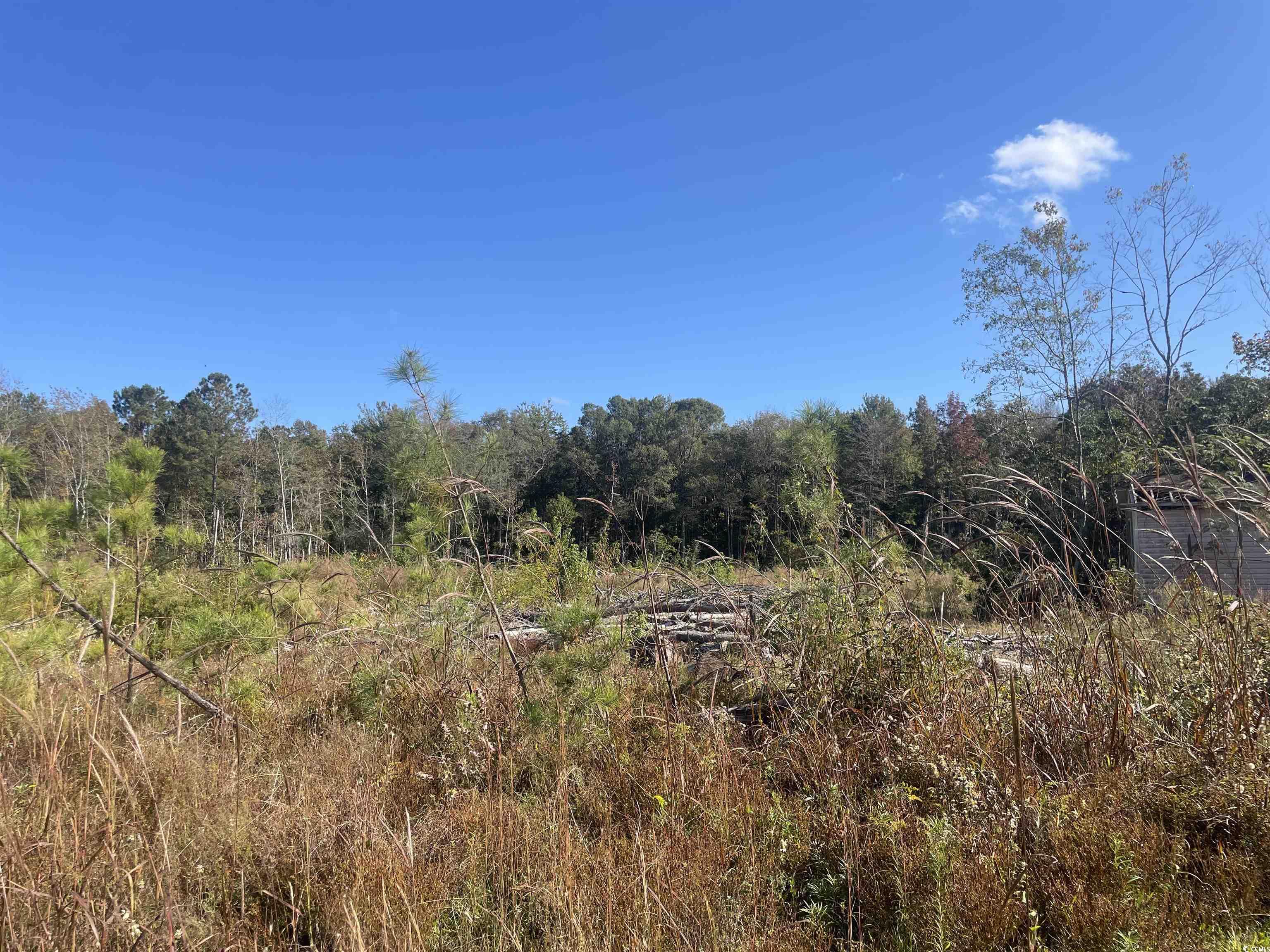 TBD Eva Loop Salters, SC 29590
