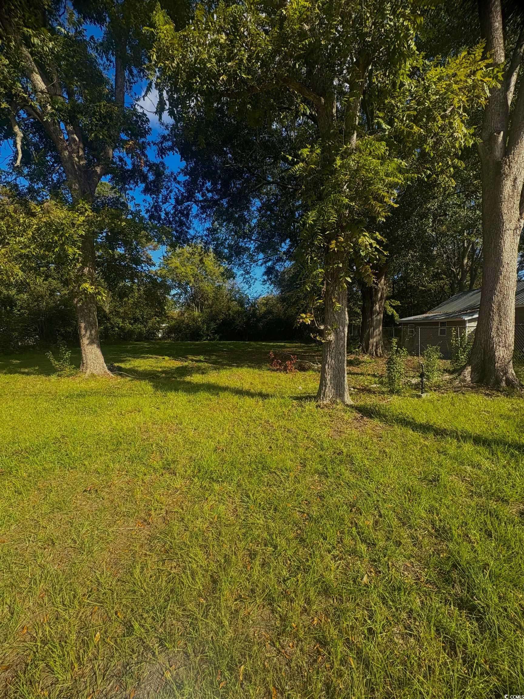 1207 Bluff St., Marion, South Carolina image 4