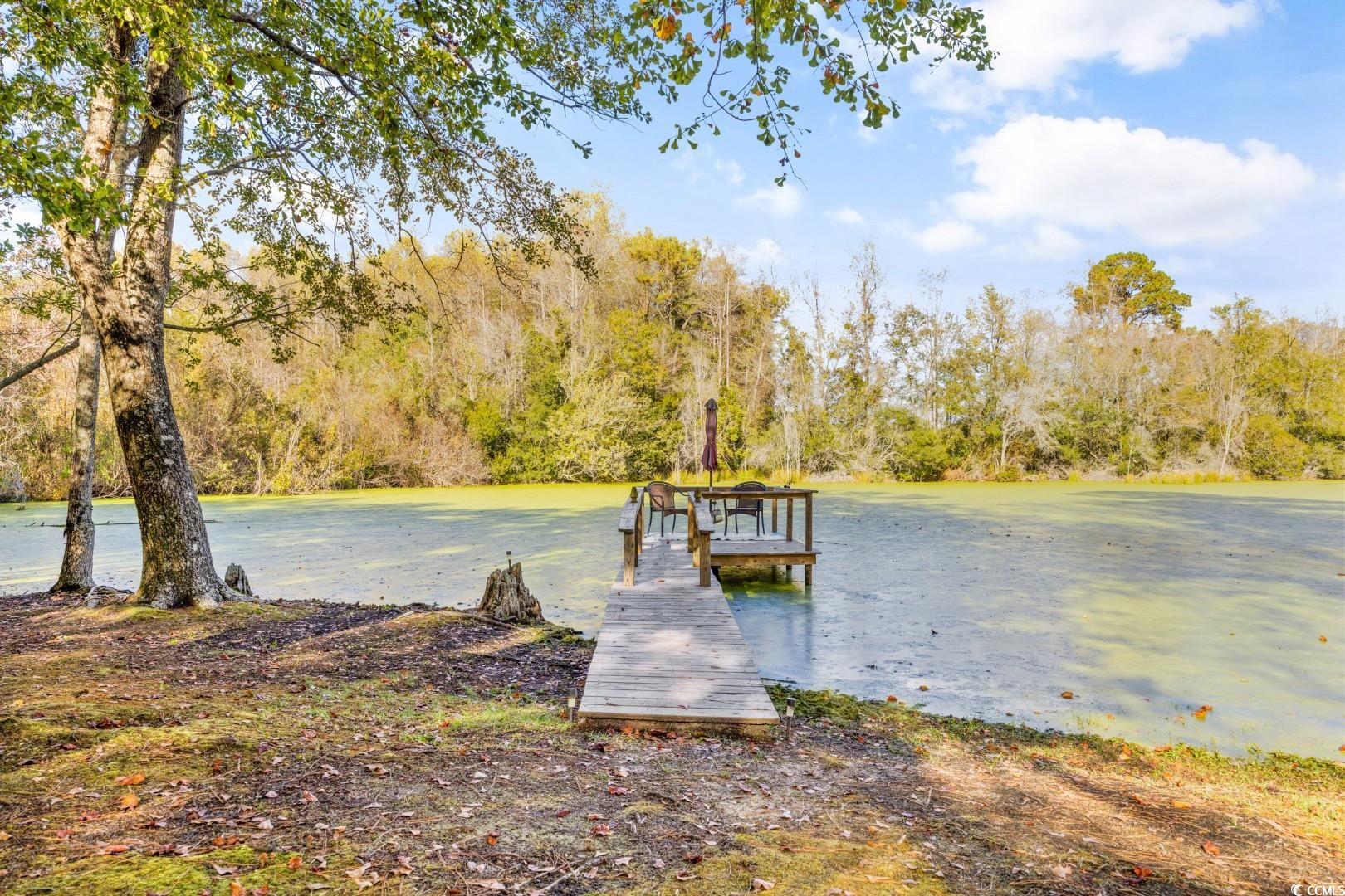 10016 W Highway 19, Loris, South Carolina image 39