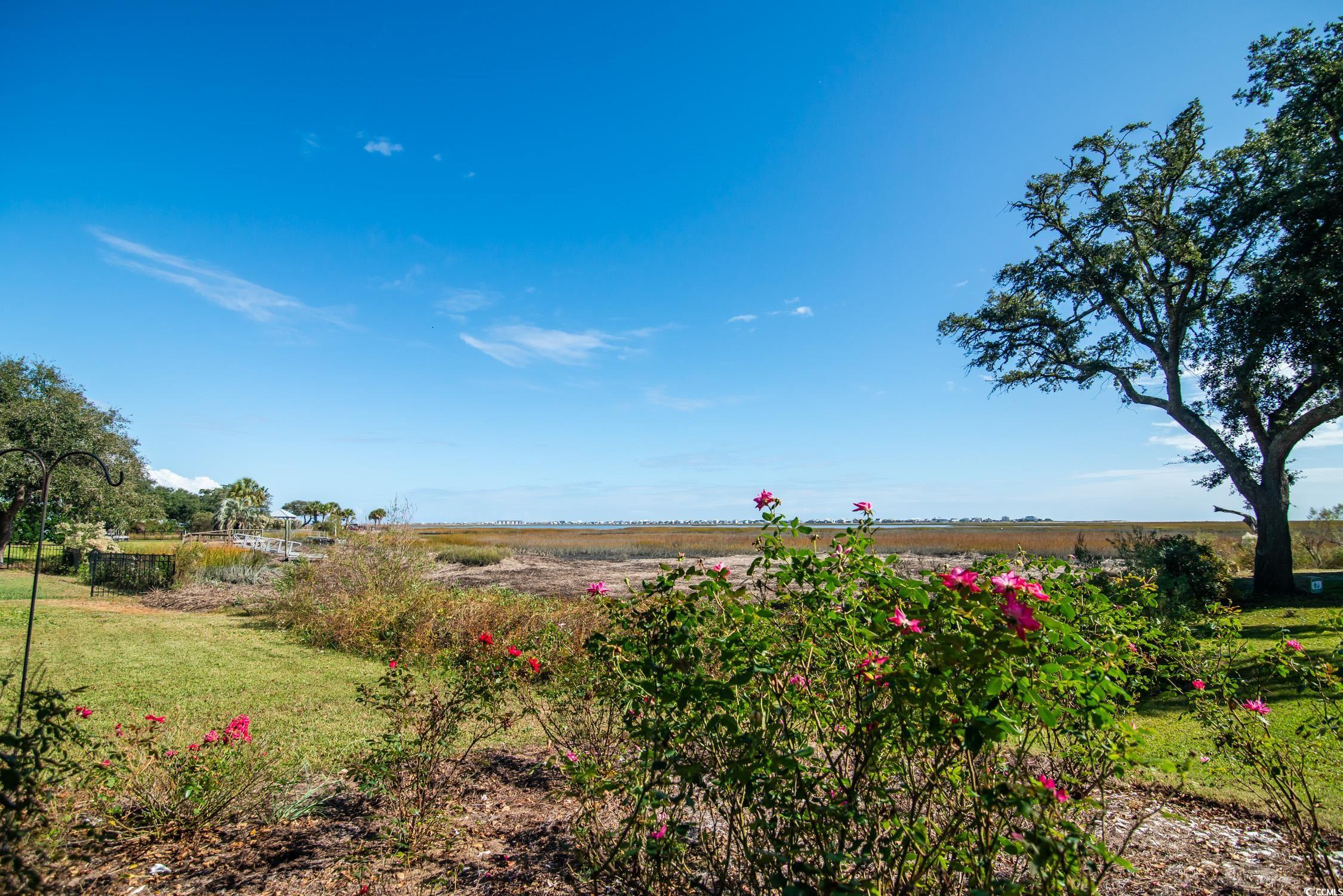 4999 Highway 17 Business #107, Murrells Inlet, South Carolina image 4