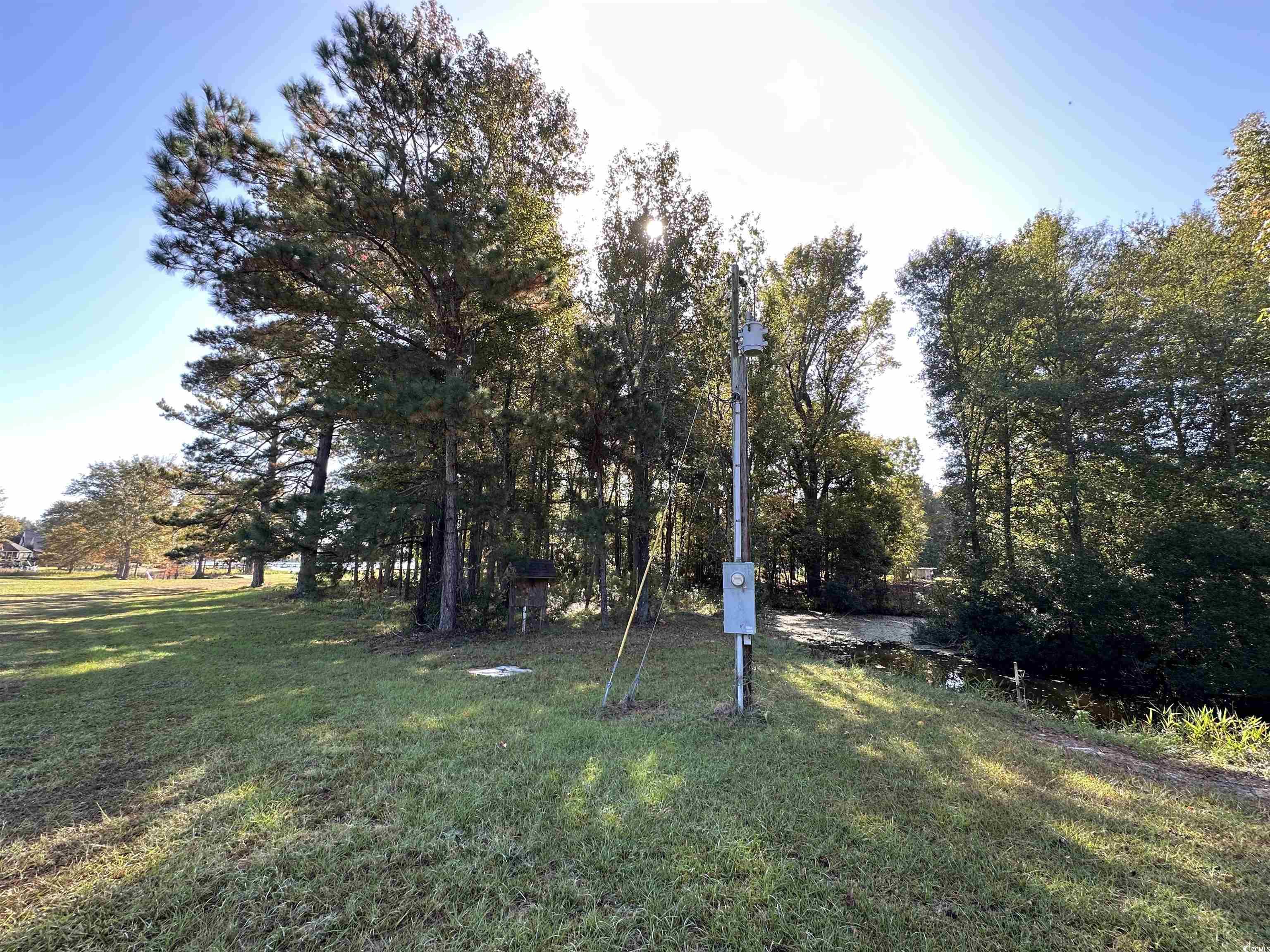 TBD White Oak Dr., Manning, South Carolina image 10