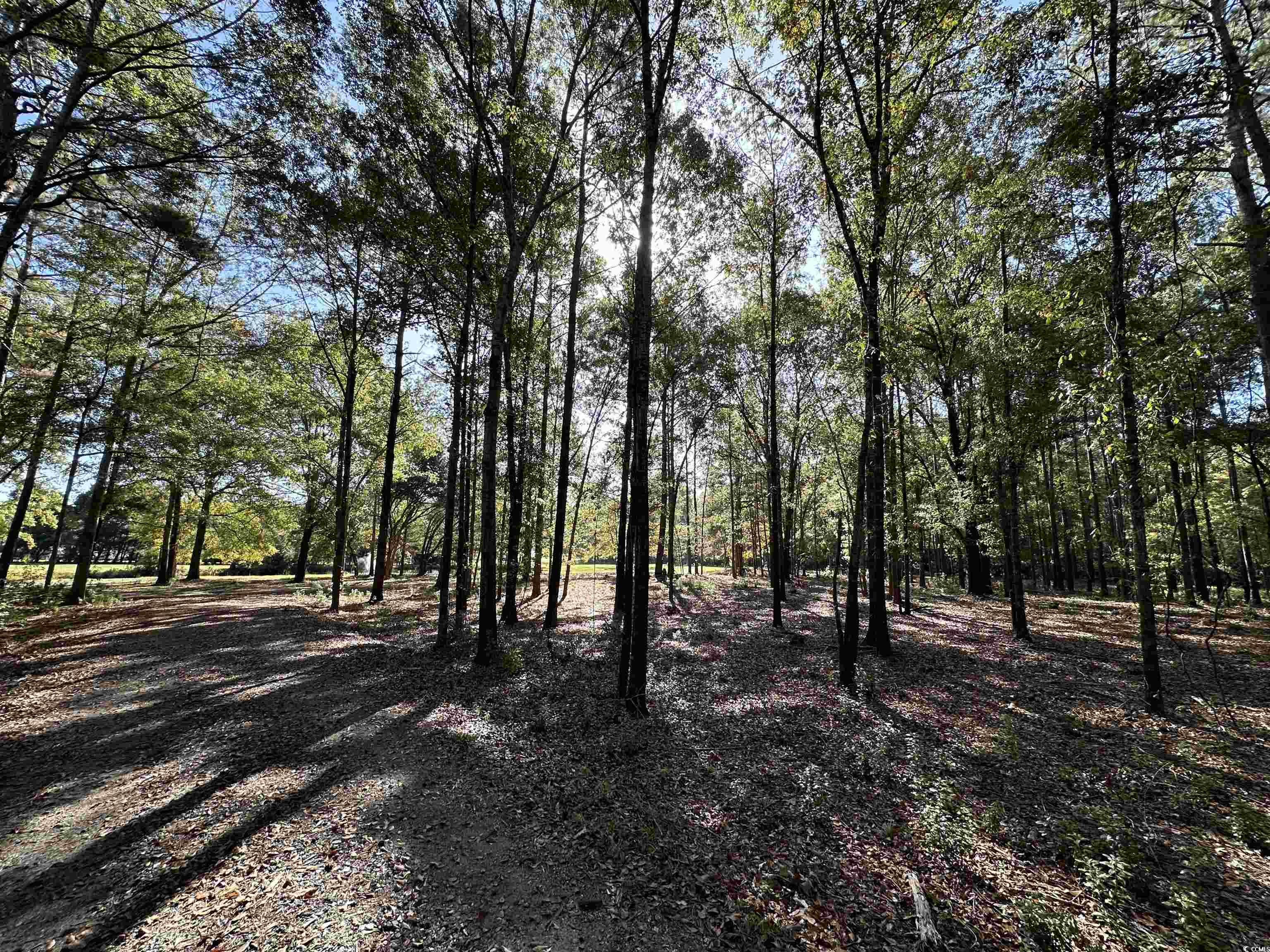 TBD White Oak Dr., Manning, South Carolina image 26