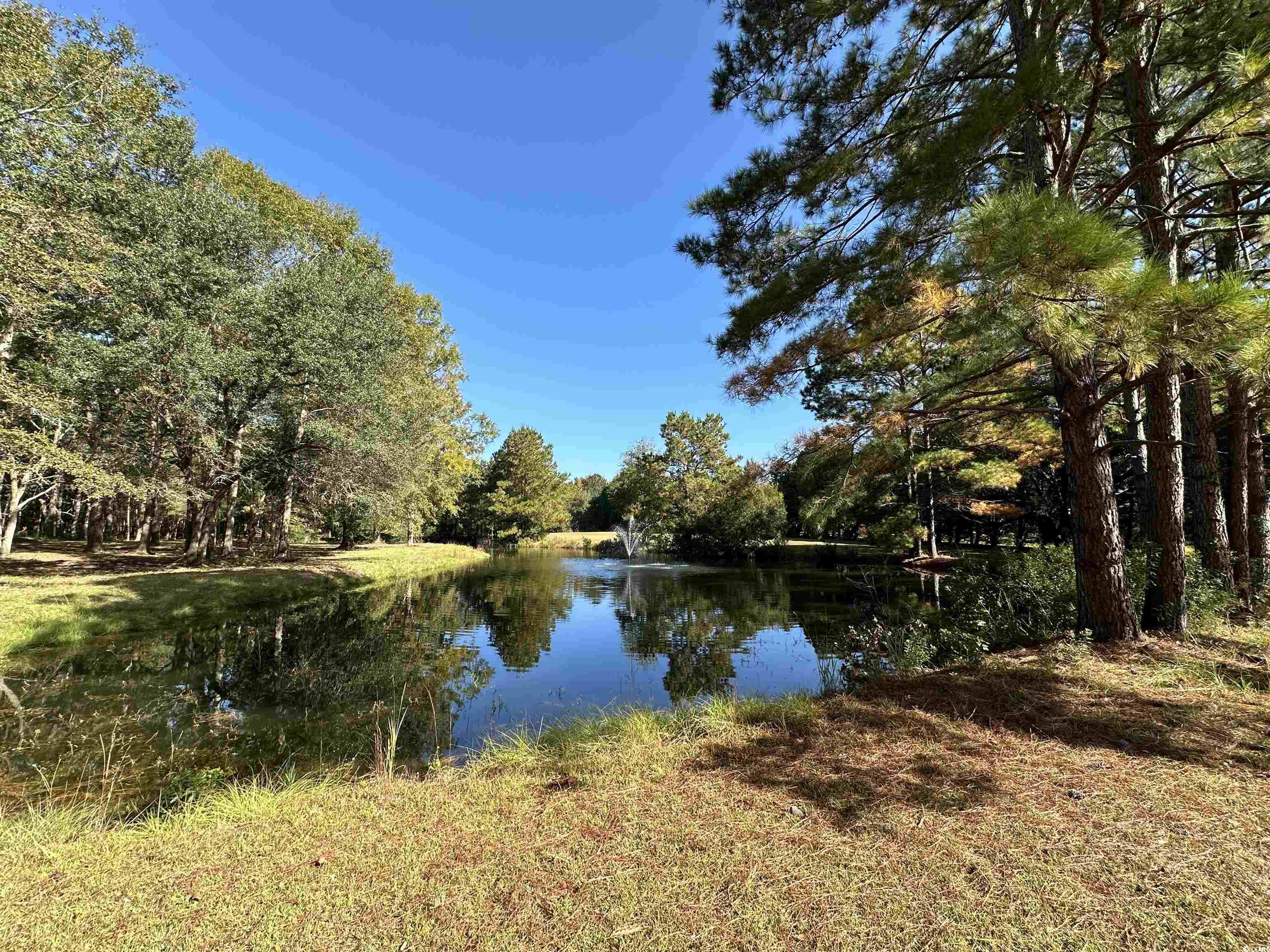 TBD White Oak Dr., Manning, South Carolina image 8