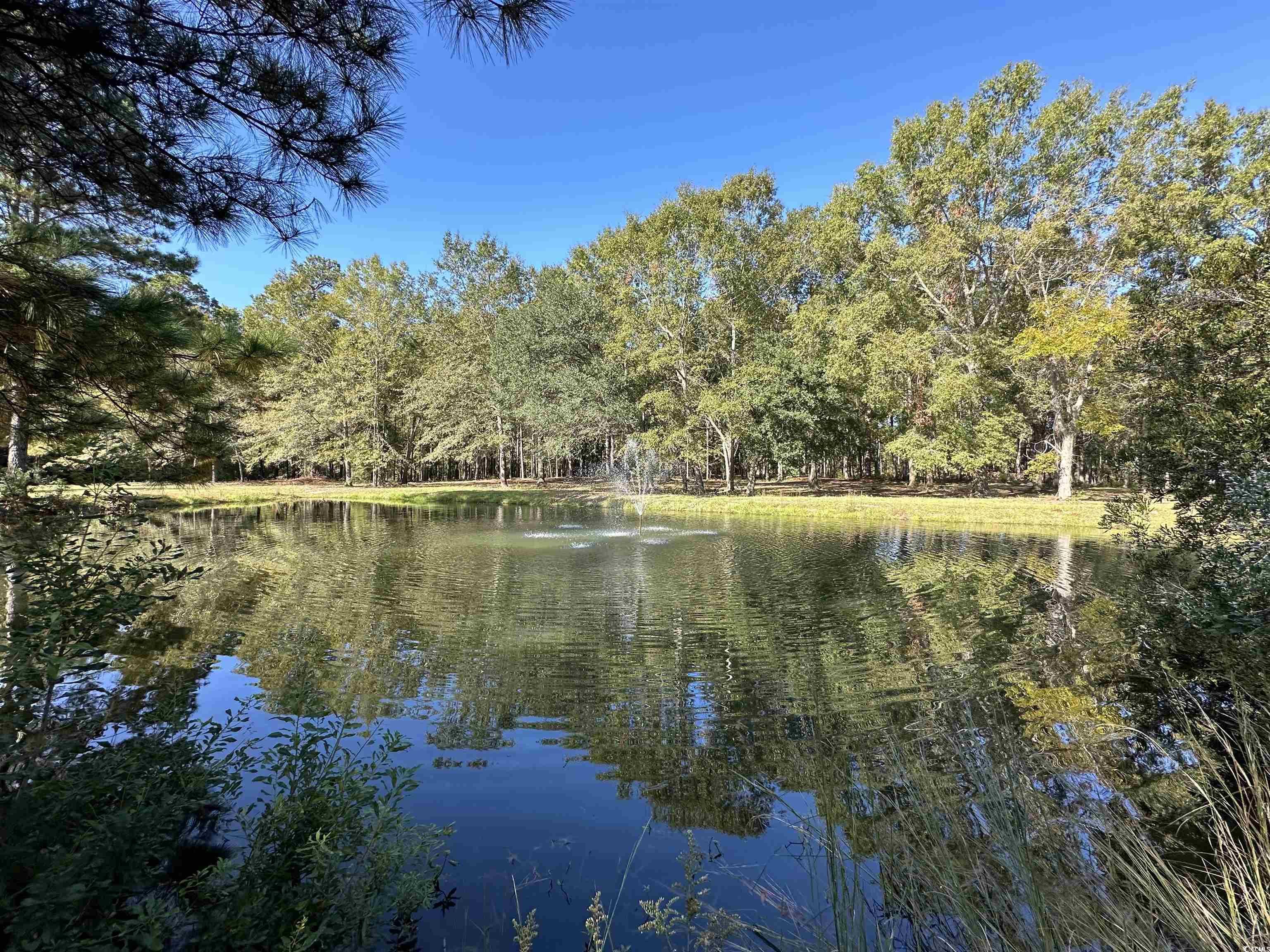 TBD White Oak Dr., Manning, South Carolina image 9