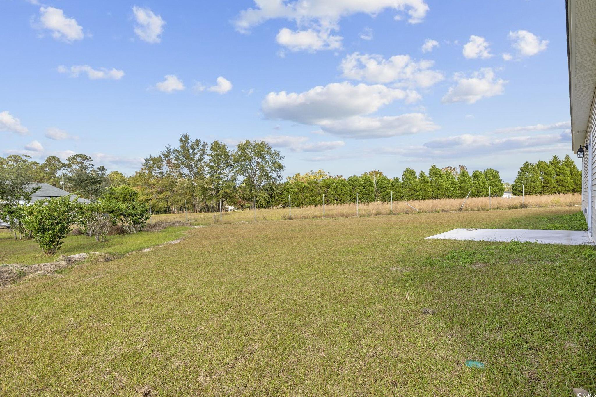 1900 Blue Bird Rd., Loris, South Carolina image 31