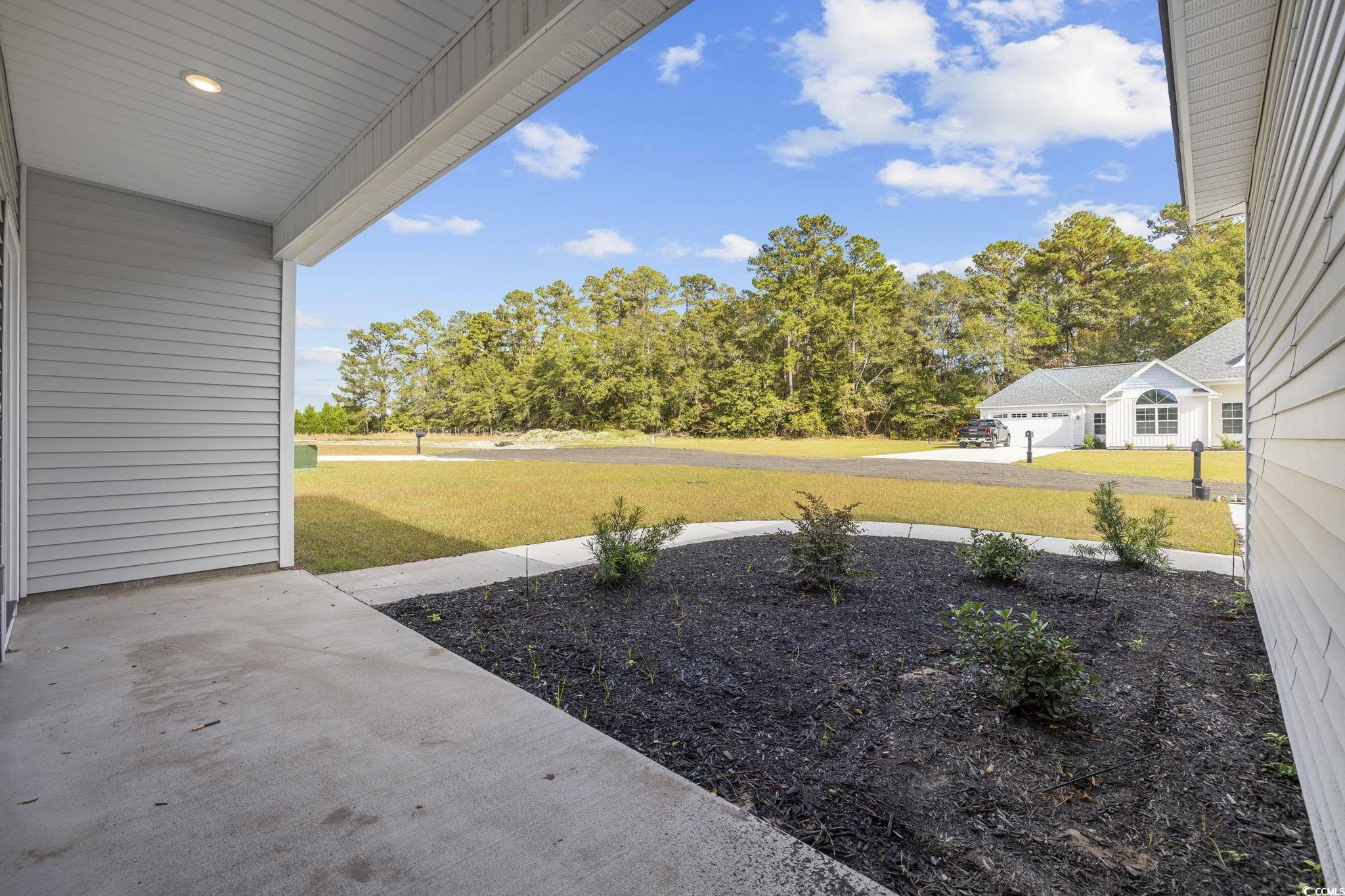 1904 Blue Bird Rd., Loris, South Carolina image 4