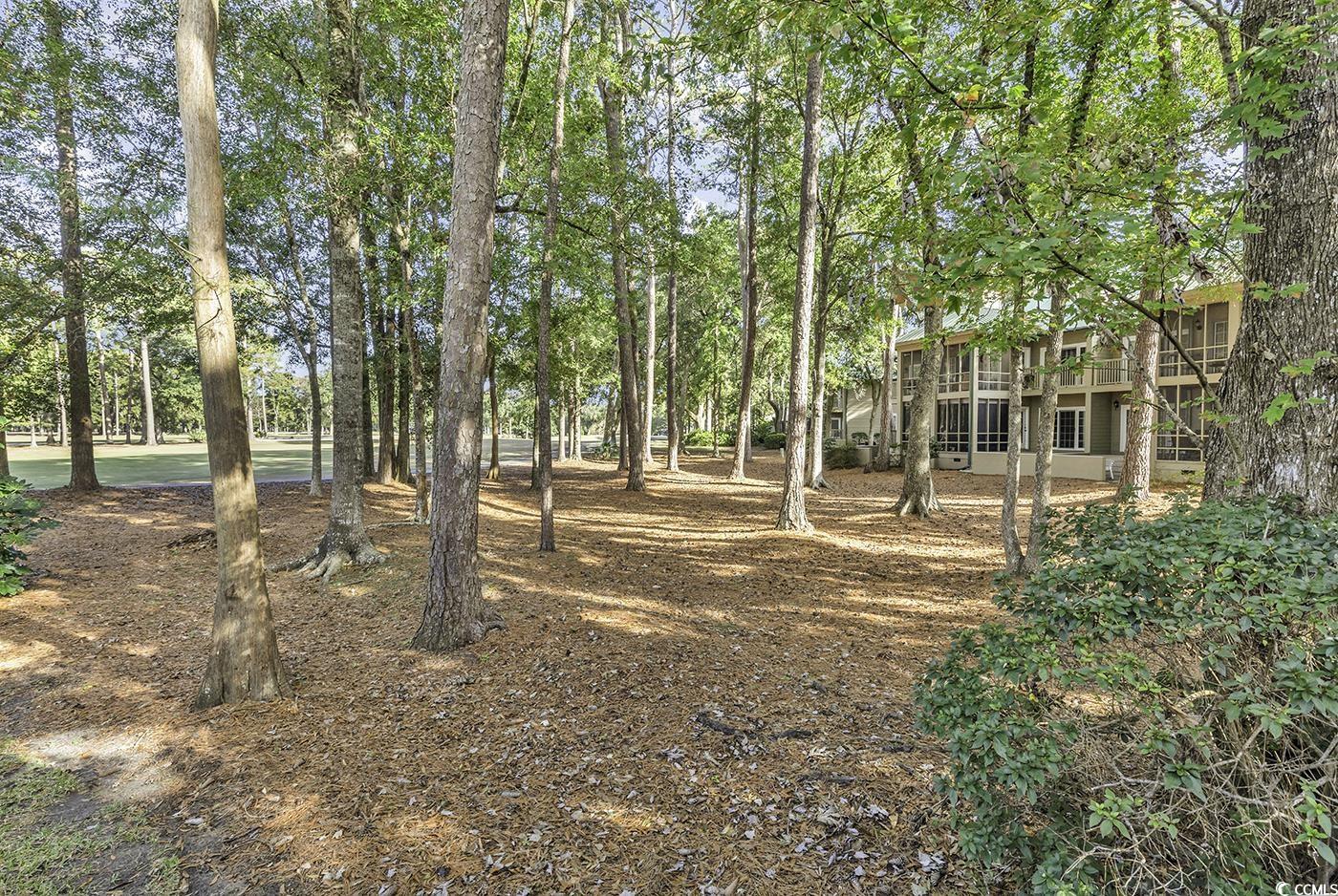 145 Golden Bear Dr. #B4, Pawleys Island, South Carolina image 27