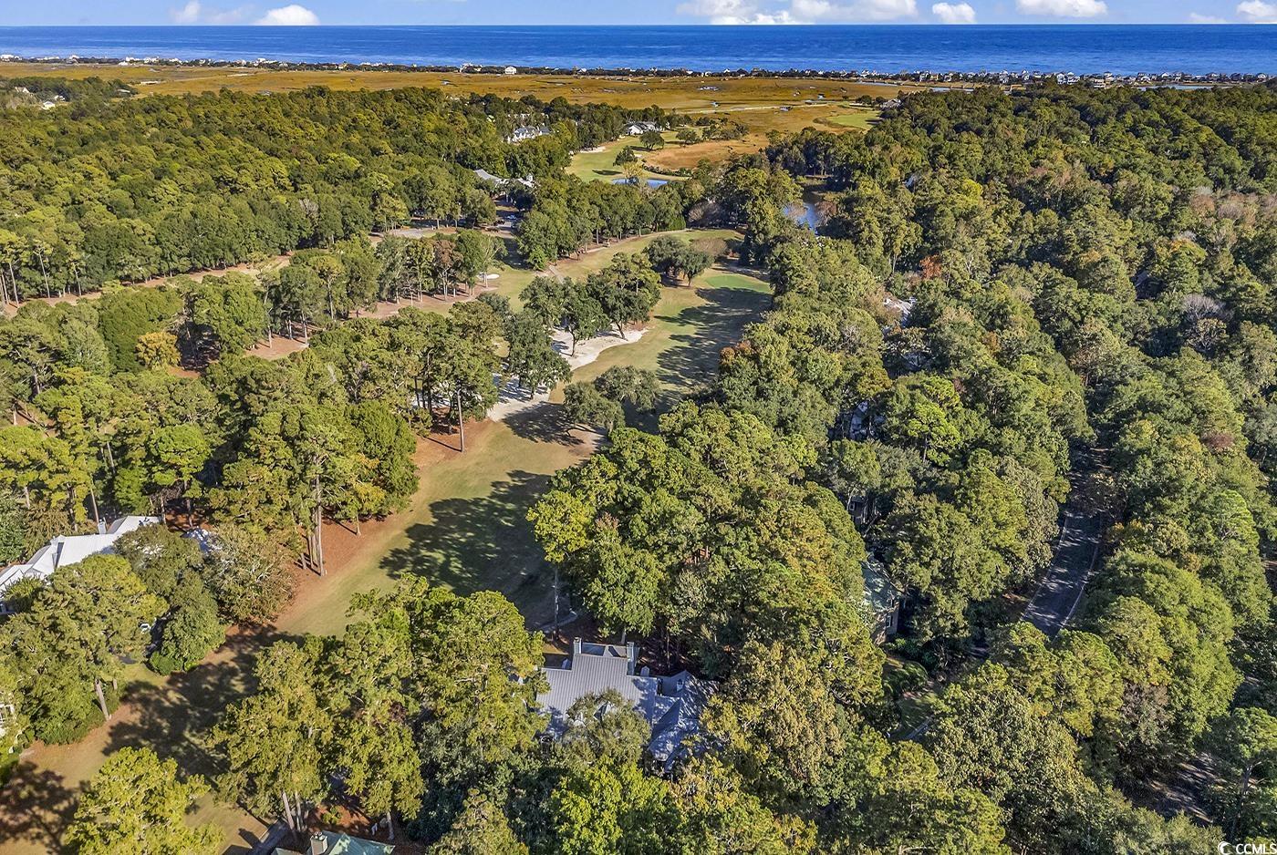 145 Golden Bear Dr. #B4, Pawleys Island, South Carolina image 30