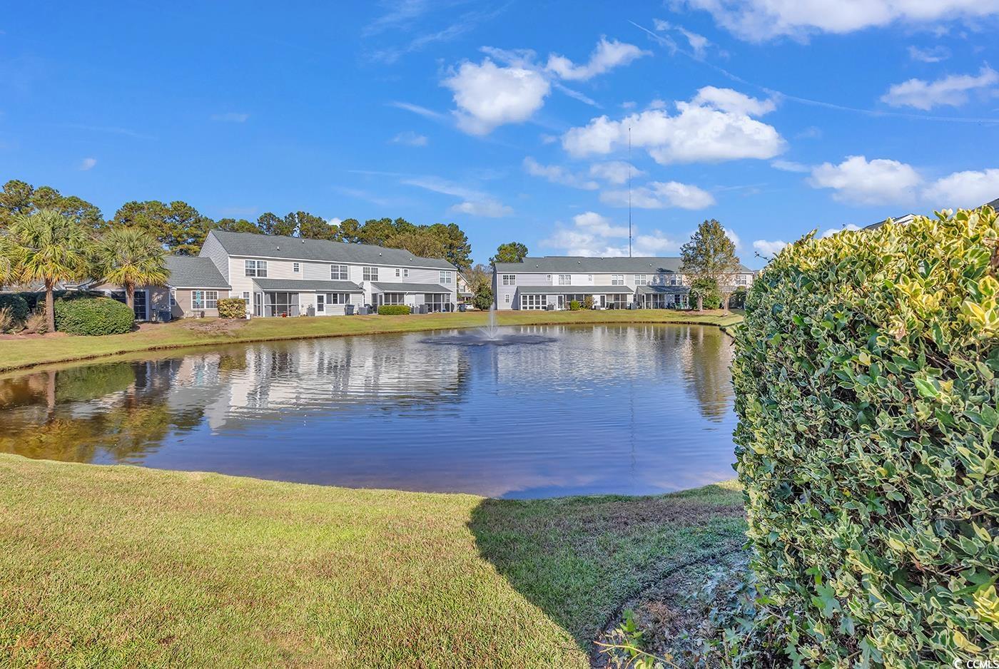 650 Wilshire Ln. #650, Murrells Inlet, South Carolina image 35