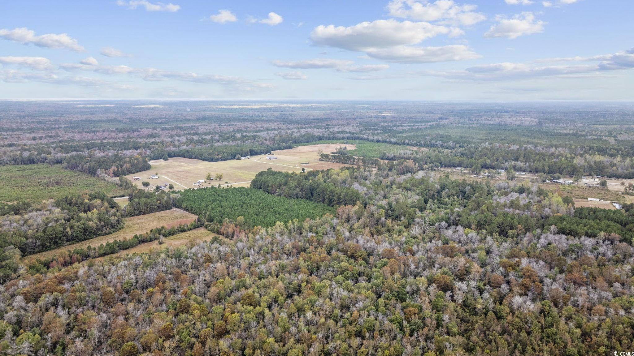 LOT 9 Creek Landing Rd, Nichols, South Carolina image 7