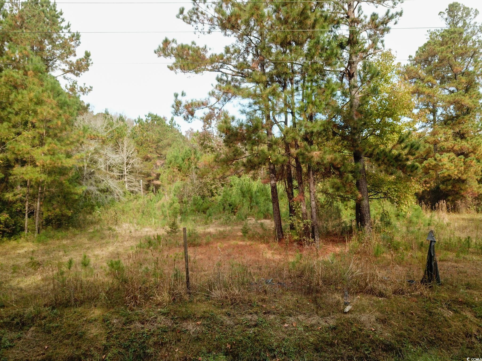 154 Old Wilson Rd., Longs, South Carolina image 4