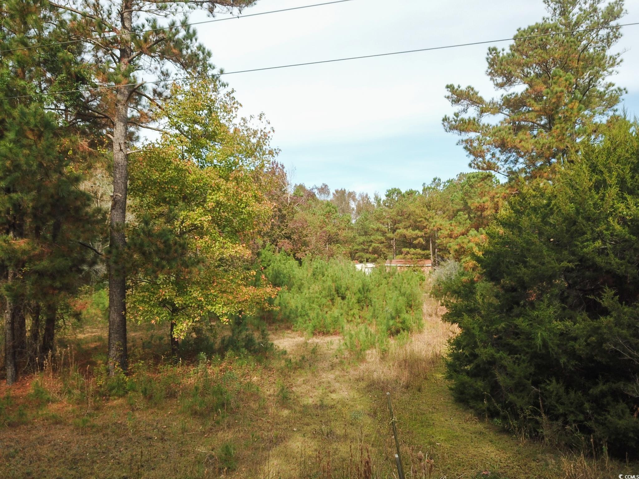 154 Old Wilson Rd., Longs, South Carolina image 6