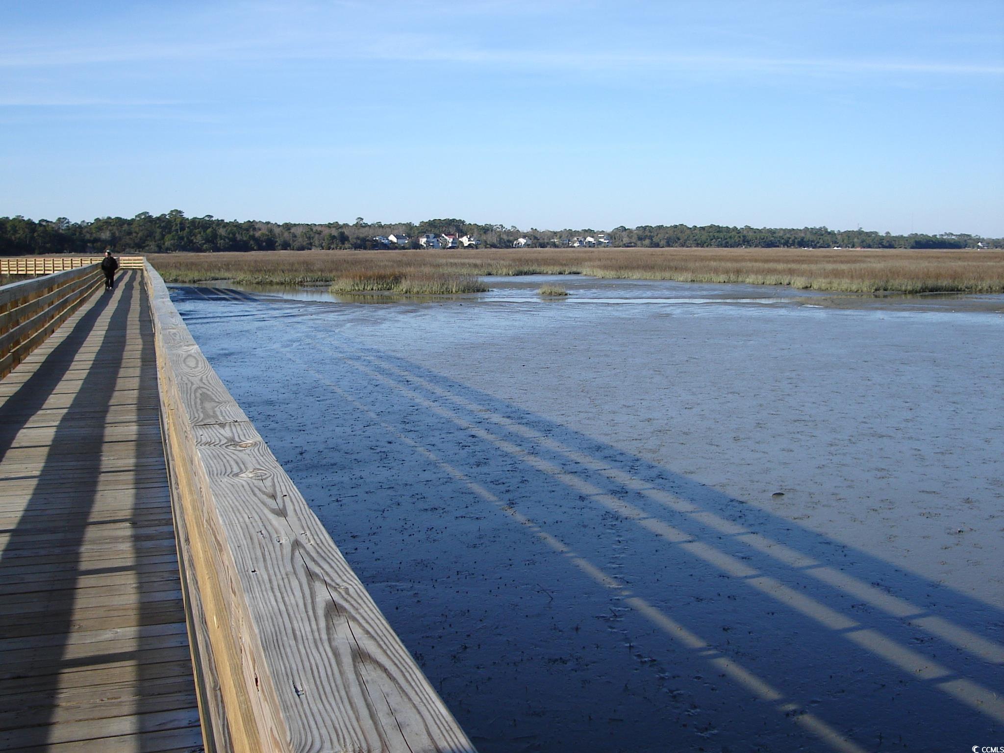 387 Lifestyle Court, Surfside Beach, South Carolina image 22