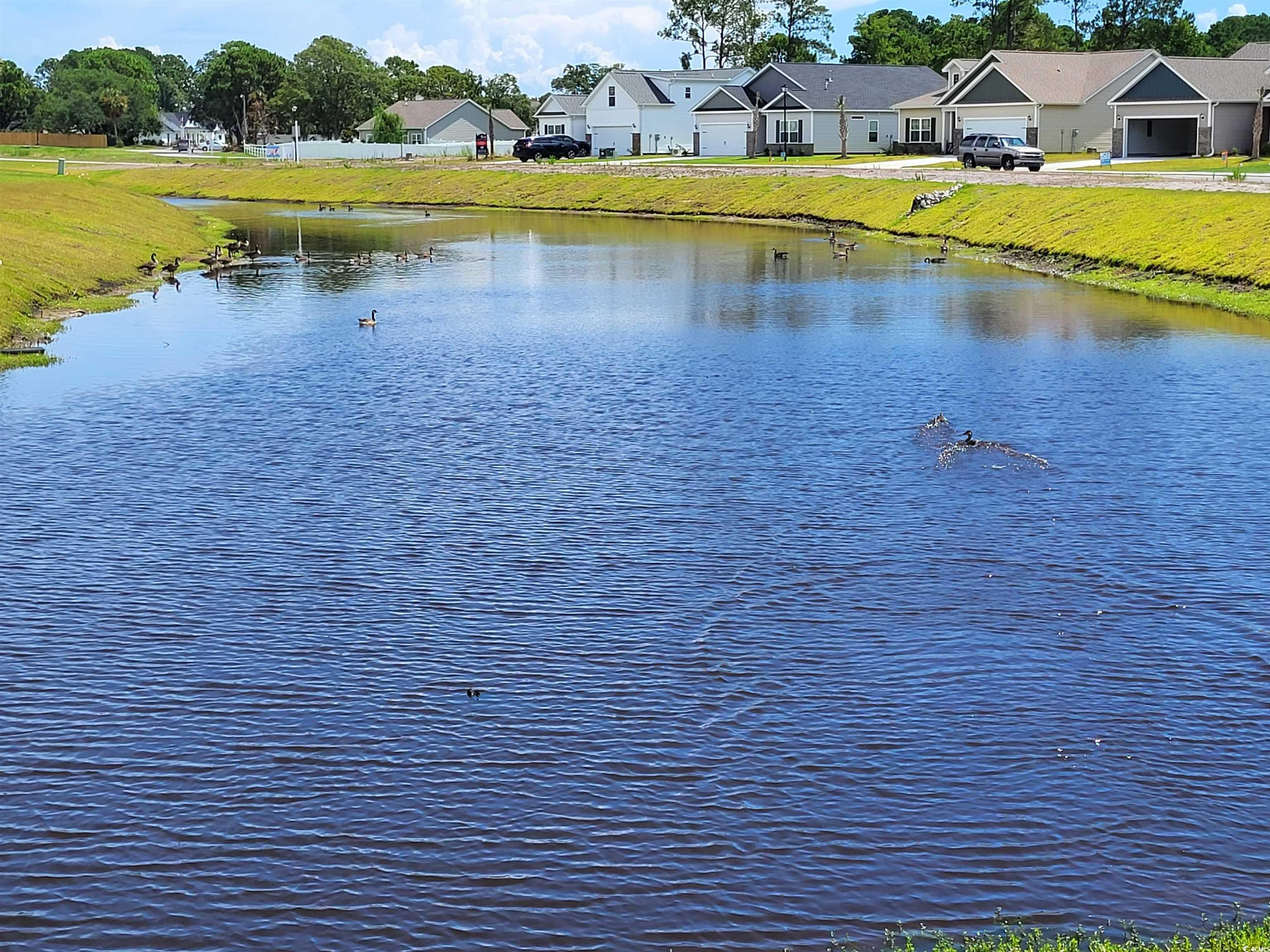 383 Lifestyle Court, Surfside Beach, South Carolina image 8