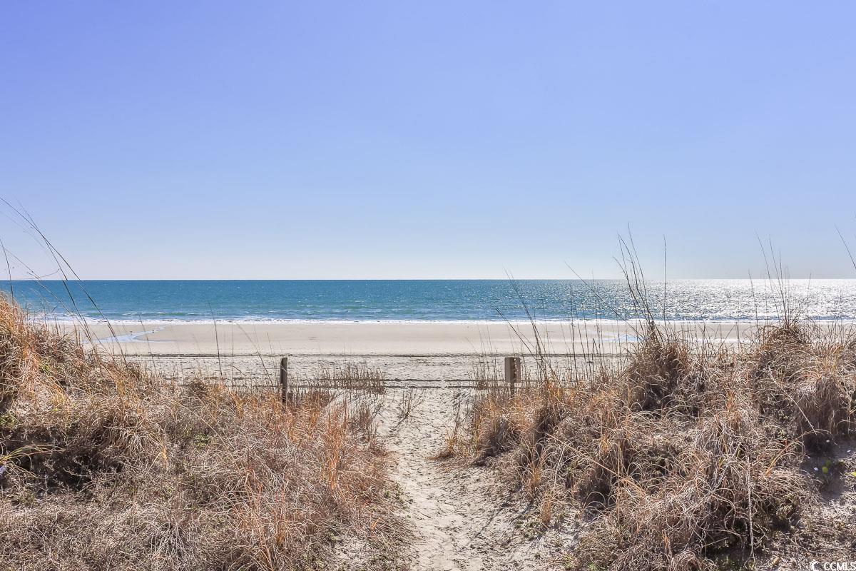 5825 Catalina Dr. #433, North Myrtle Beach, South Carolina image 21