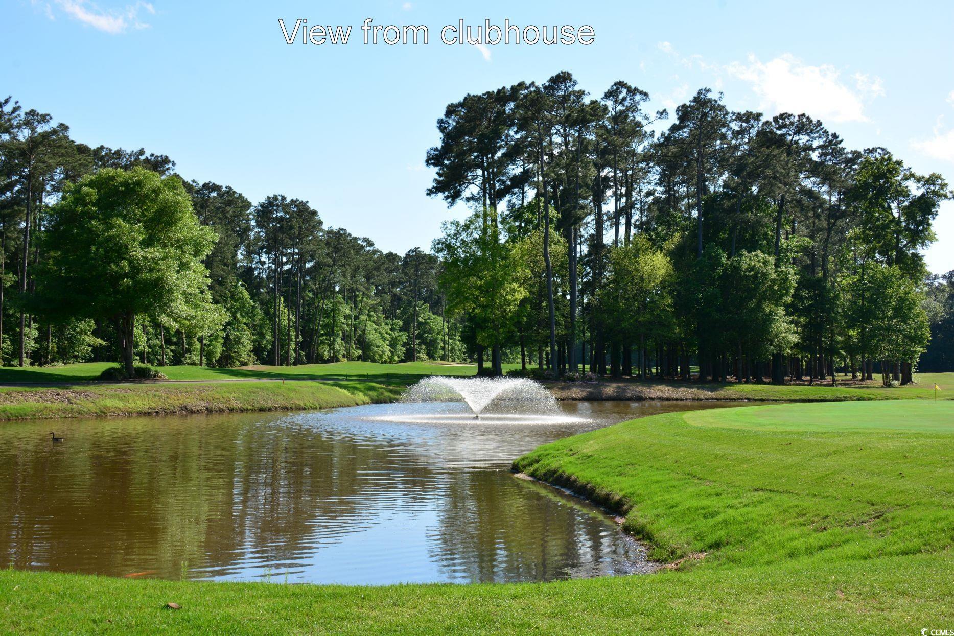 4460 Maypop Trail, Murrells Inlet, South Carolina image 35