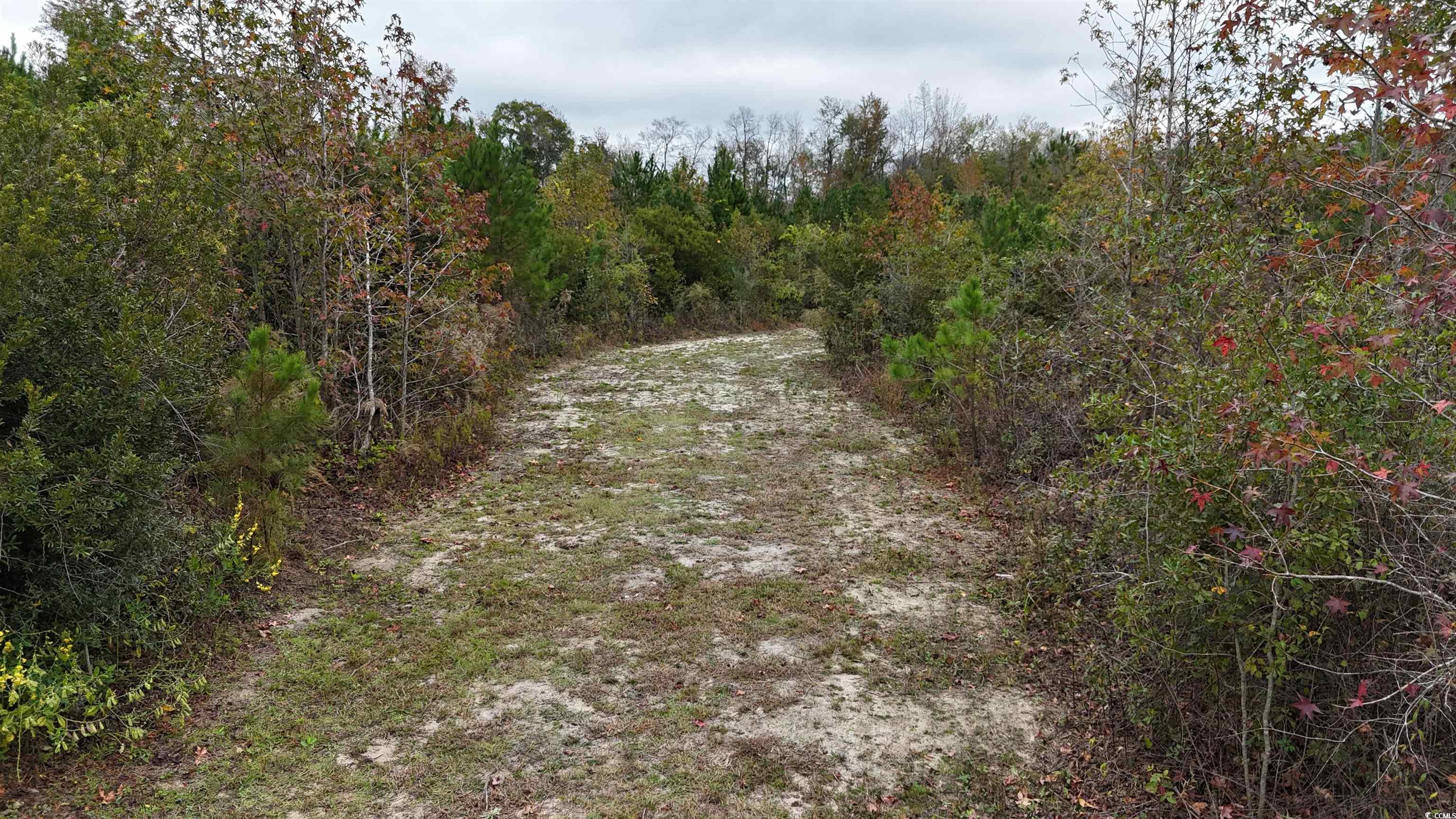 Lot 1 Highway 501 Business, Marion, South Carolina image 3