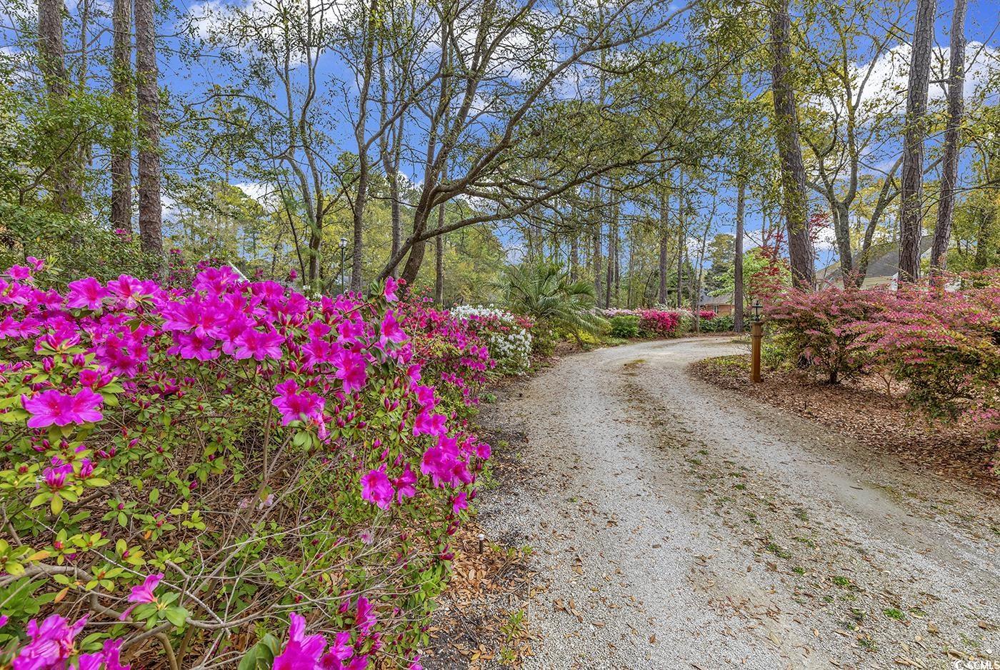 89 Cameron Ct., Pawleys Island, South Carolina image 31