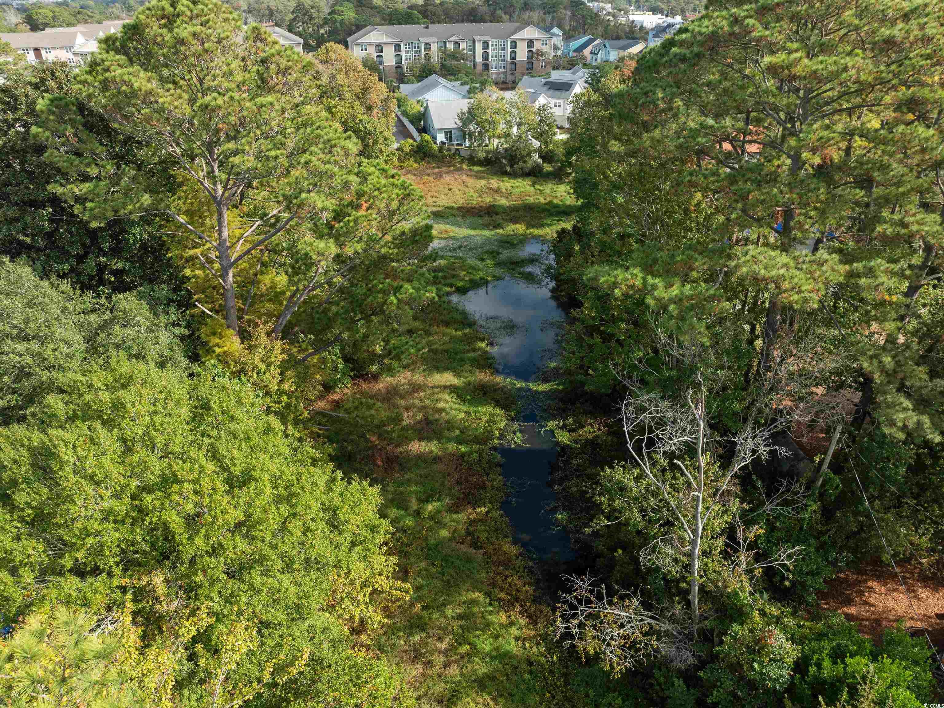 TBD Wildwood Trail Myrtle Beach, SC 29572
