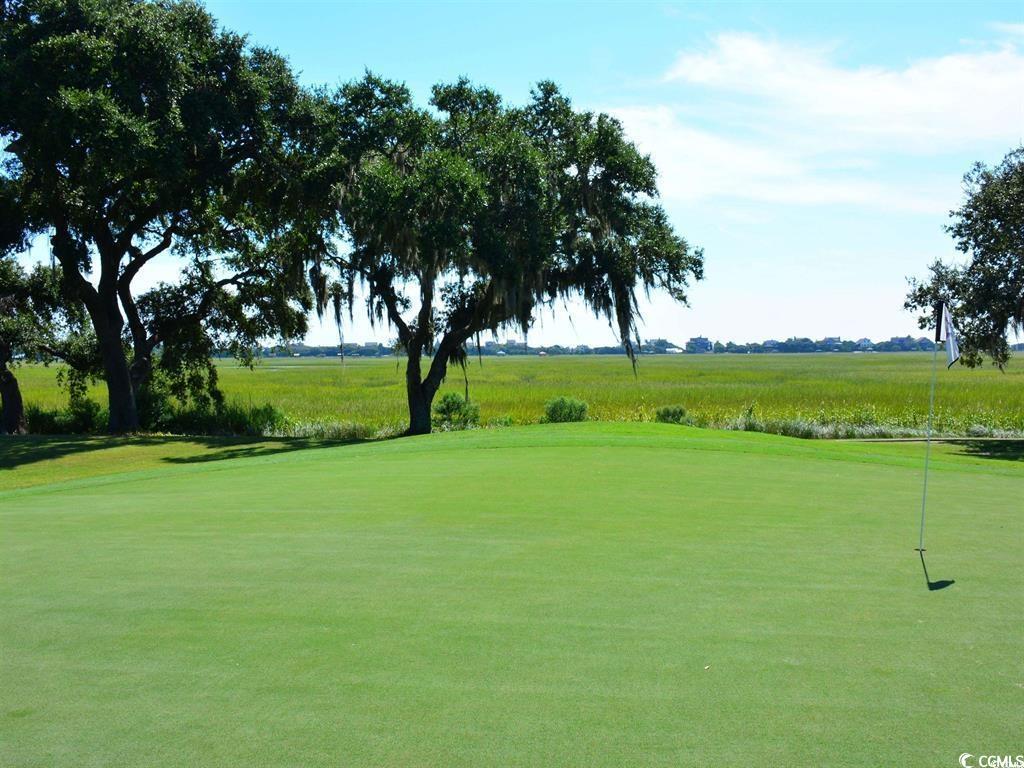 551 -1 Golden Bear Dr. #1/A, Pawleys Island, South Carolina image 33