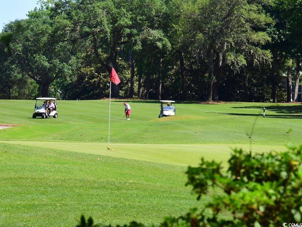 551 -1 Golden Bear Dr. #1/A, Pawleys Island, South Carolina image 37