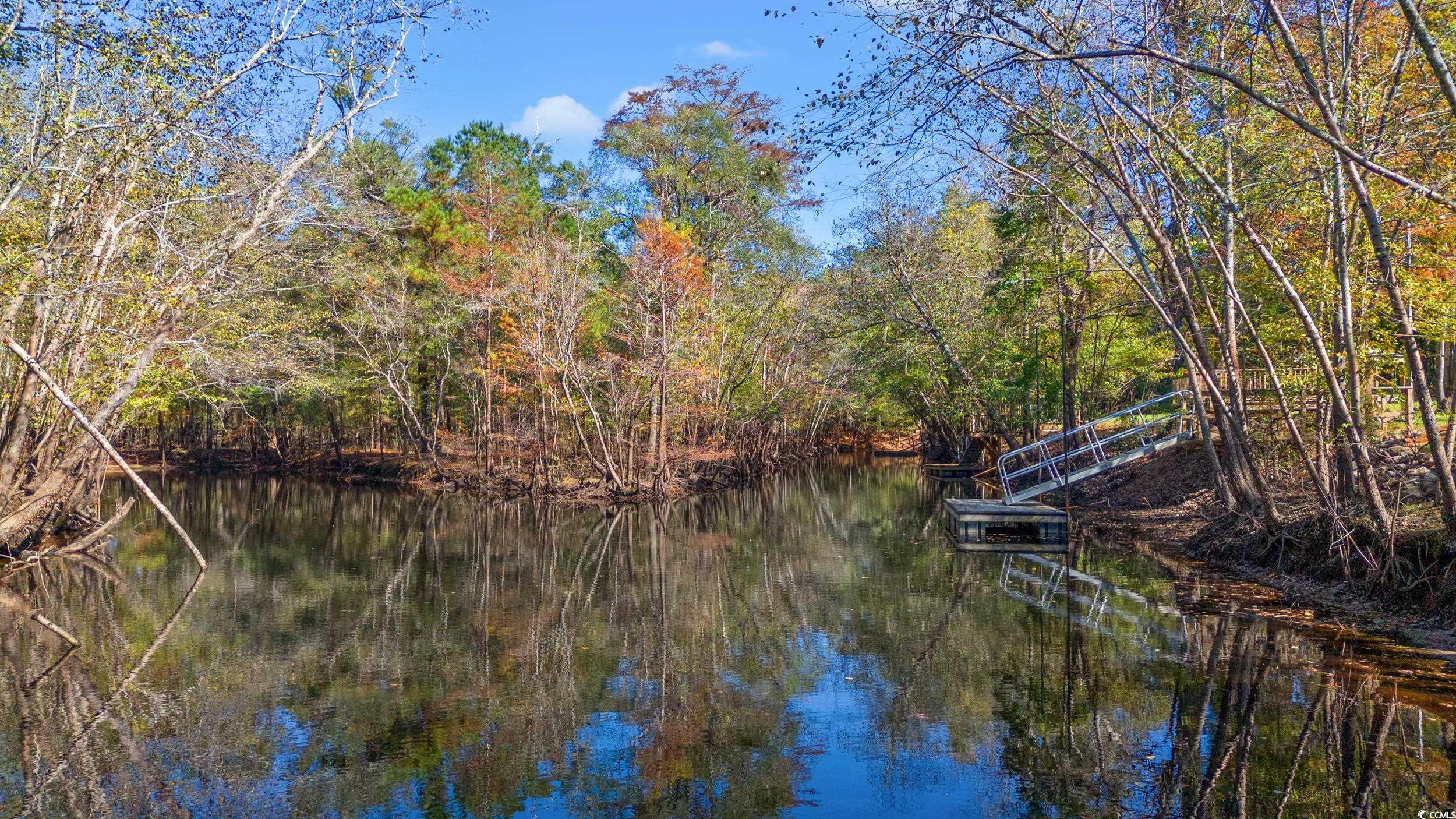 1016 Chelsey Circle, Conway, South Carolina image 39