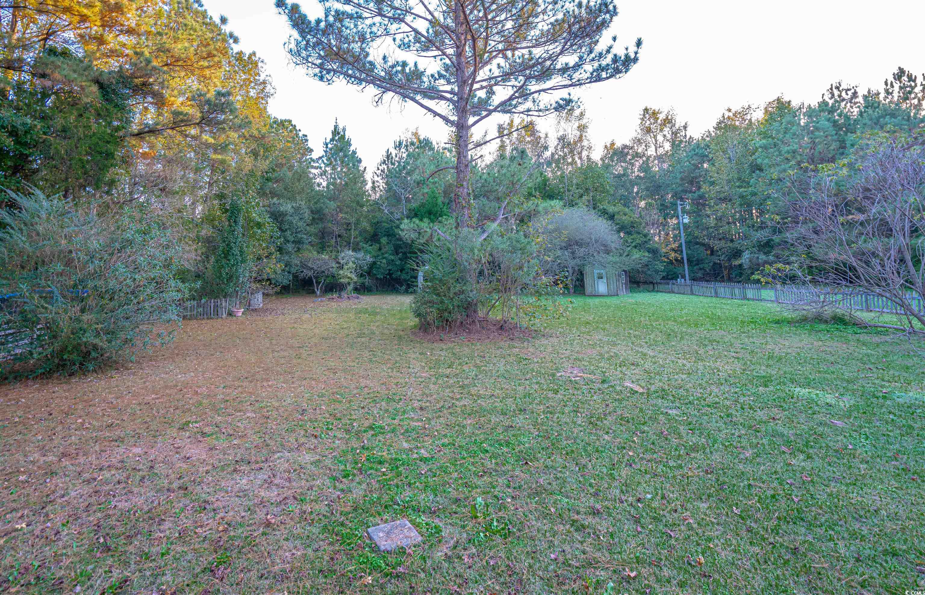 334 Coney Dr., Longs, South Carolina image 12