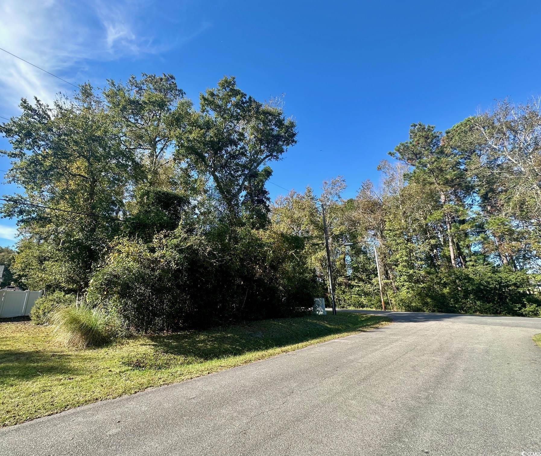 Lot 10 Maple Dr. S, Surfside Beach, South Carolina image 2