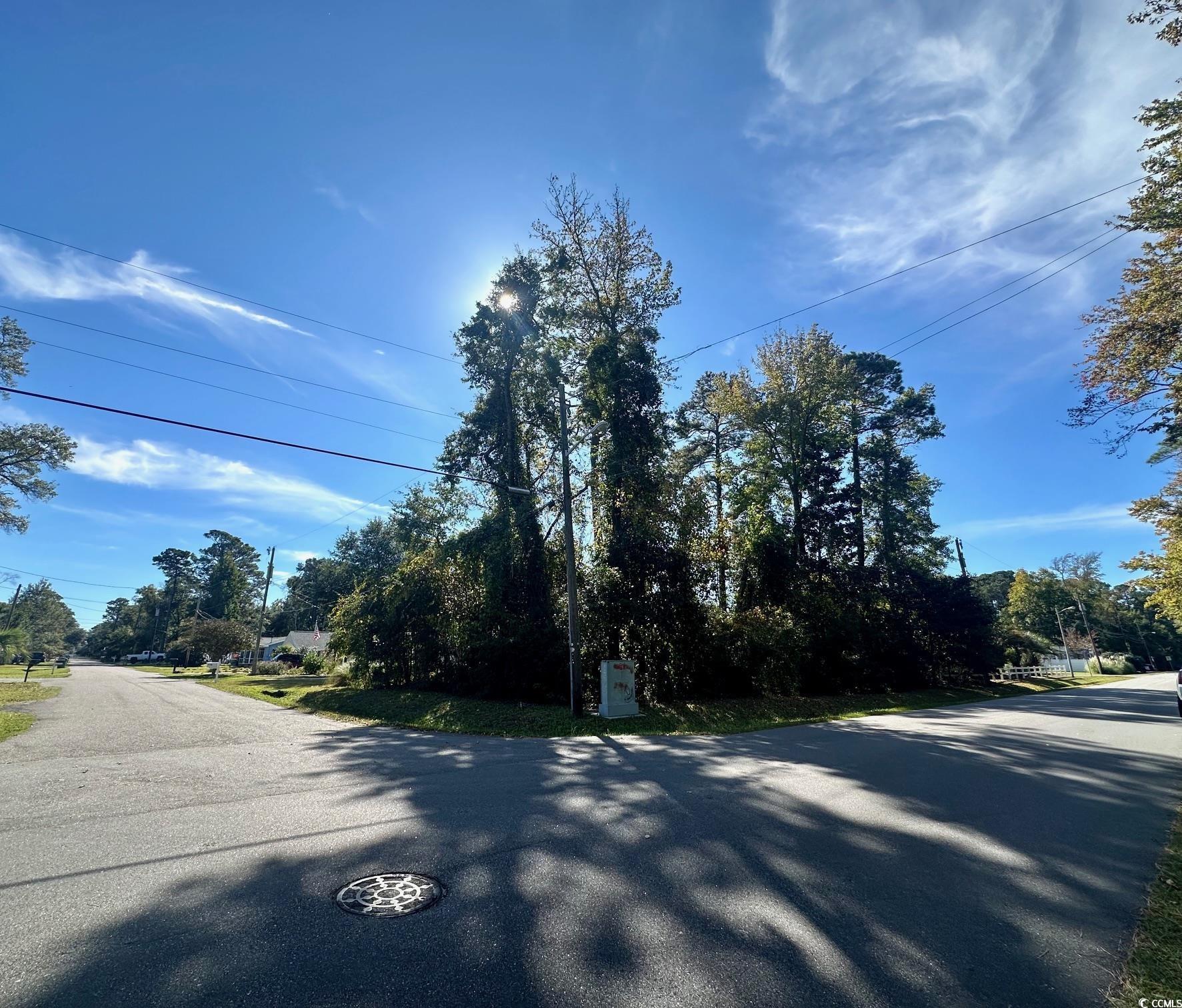 Lot 10 Maple Dr. S, Surfside Beach, South Carolina image 4