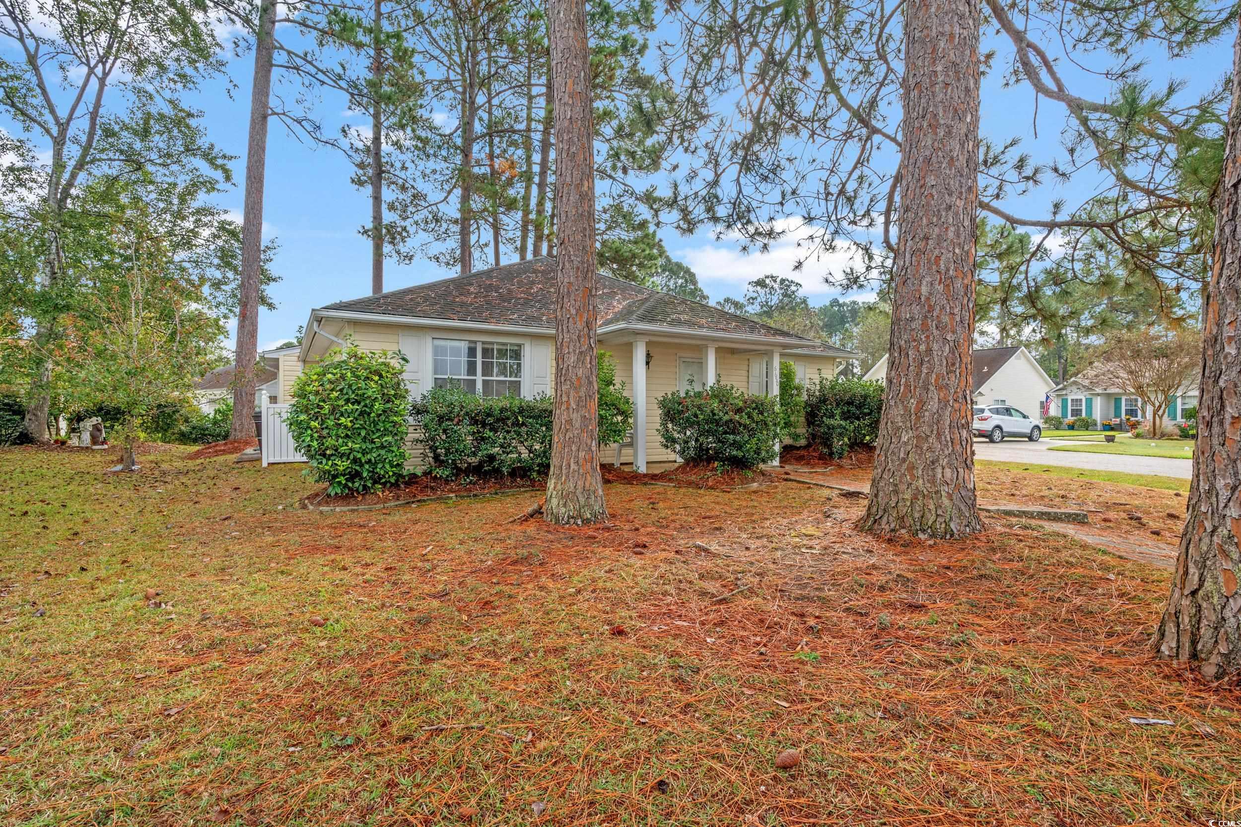 6650 Cinnamon Fern Ln., Myrtle Beach, South Carolina image 23