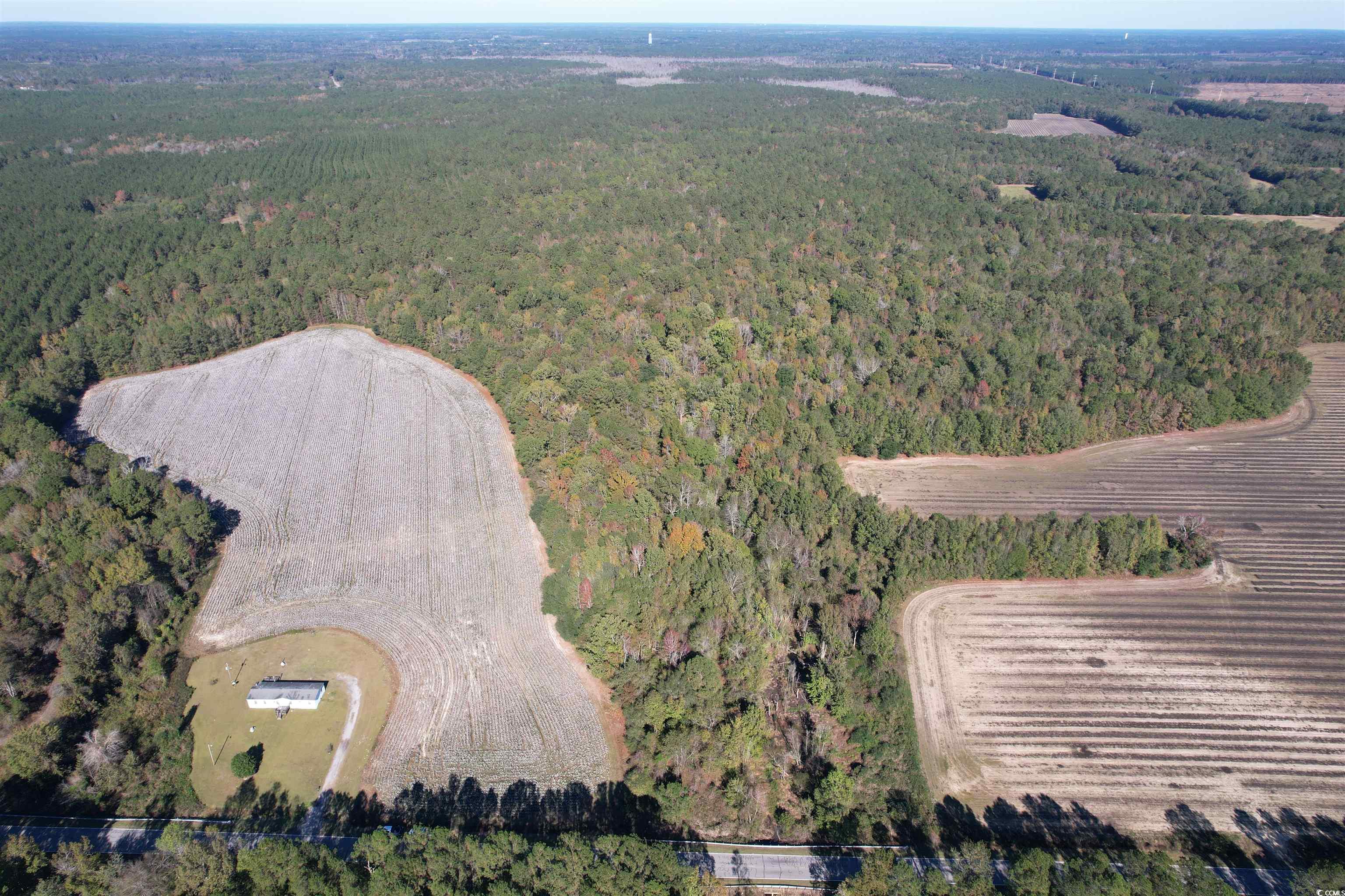 Mackey Rd., Greeleyville, South Carolina image 1