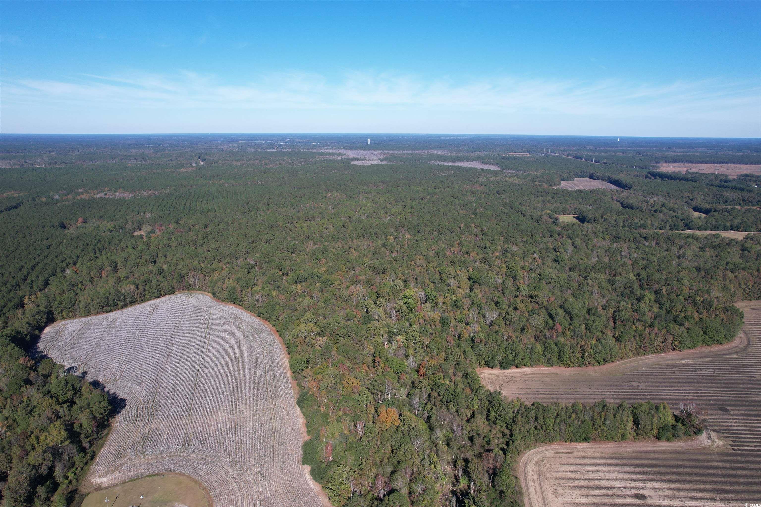 Mackey Rd., Greeleyville, South Carolina image 2