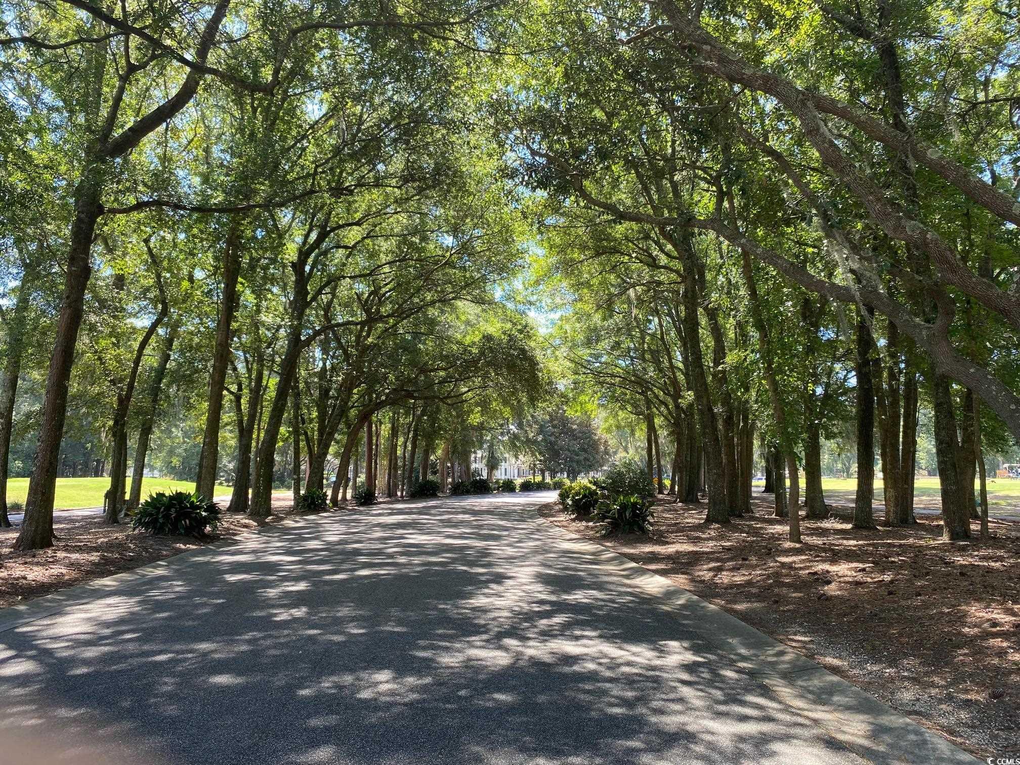 TBD Grey Fox Circle, Pawleys Island, South Carolina image 8