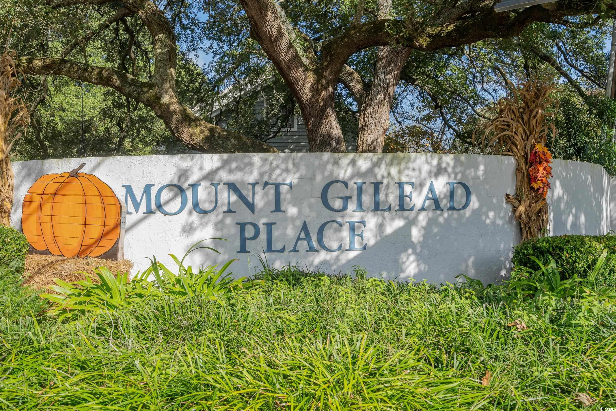 824 Mount Gilead Place Dr., Murrells Inlet, South Carolina image 36