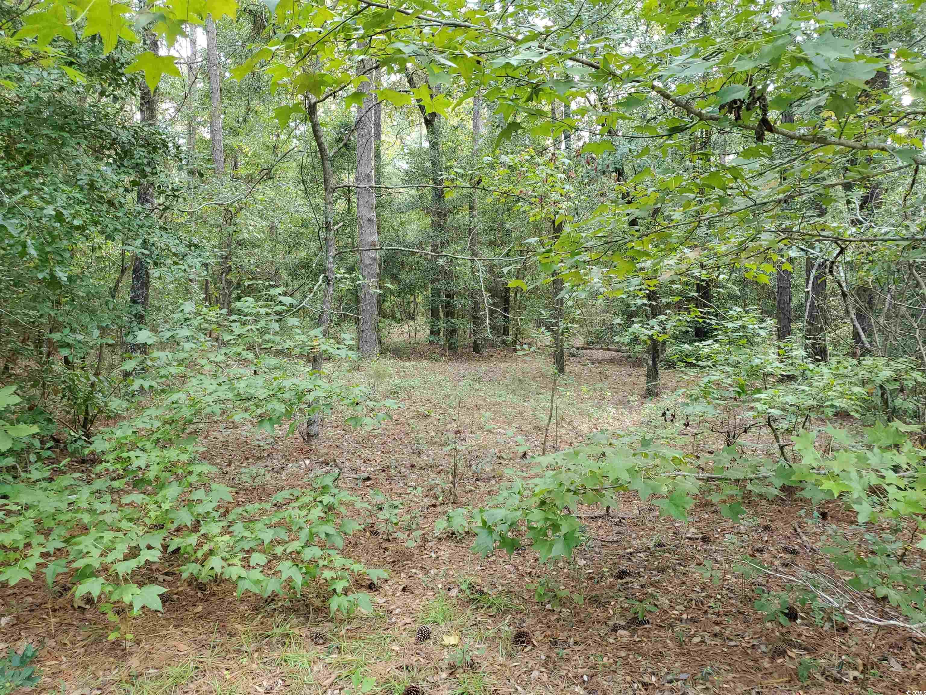 lot 16 Lendrim Lake Dr. Conway, SC 29526