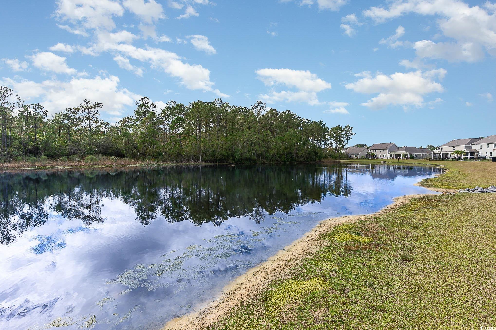 808 Flowering Branch Ave., Little River, South Carolina image 37