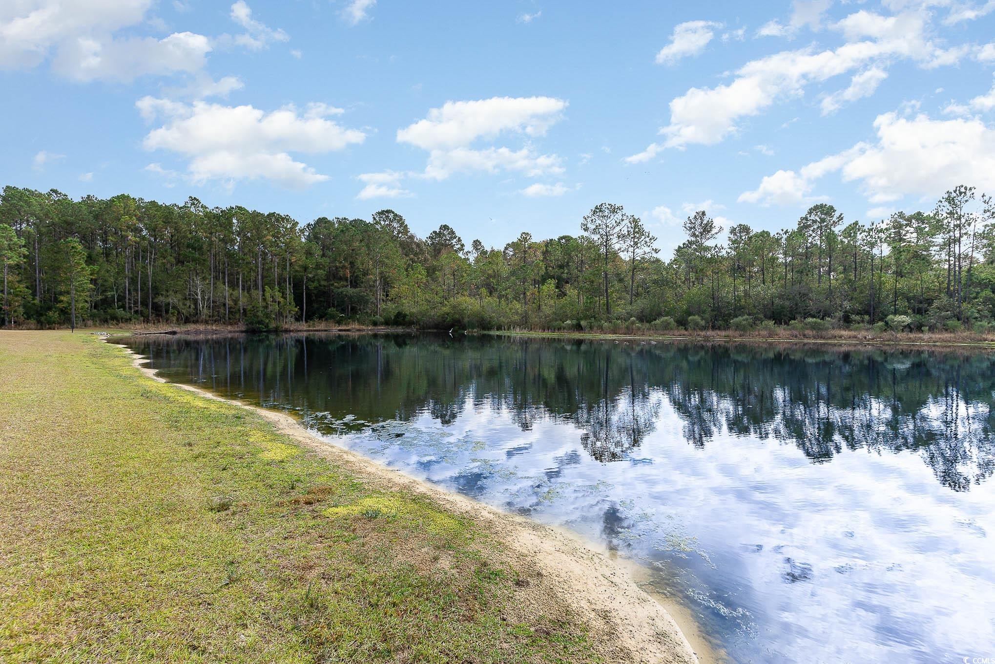 808 Flowering Branch Ave., Little River, South Carolina image 38